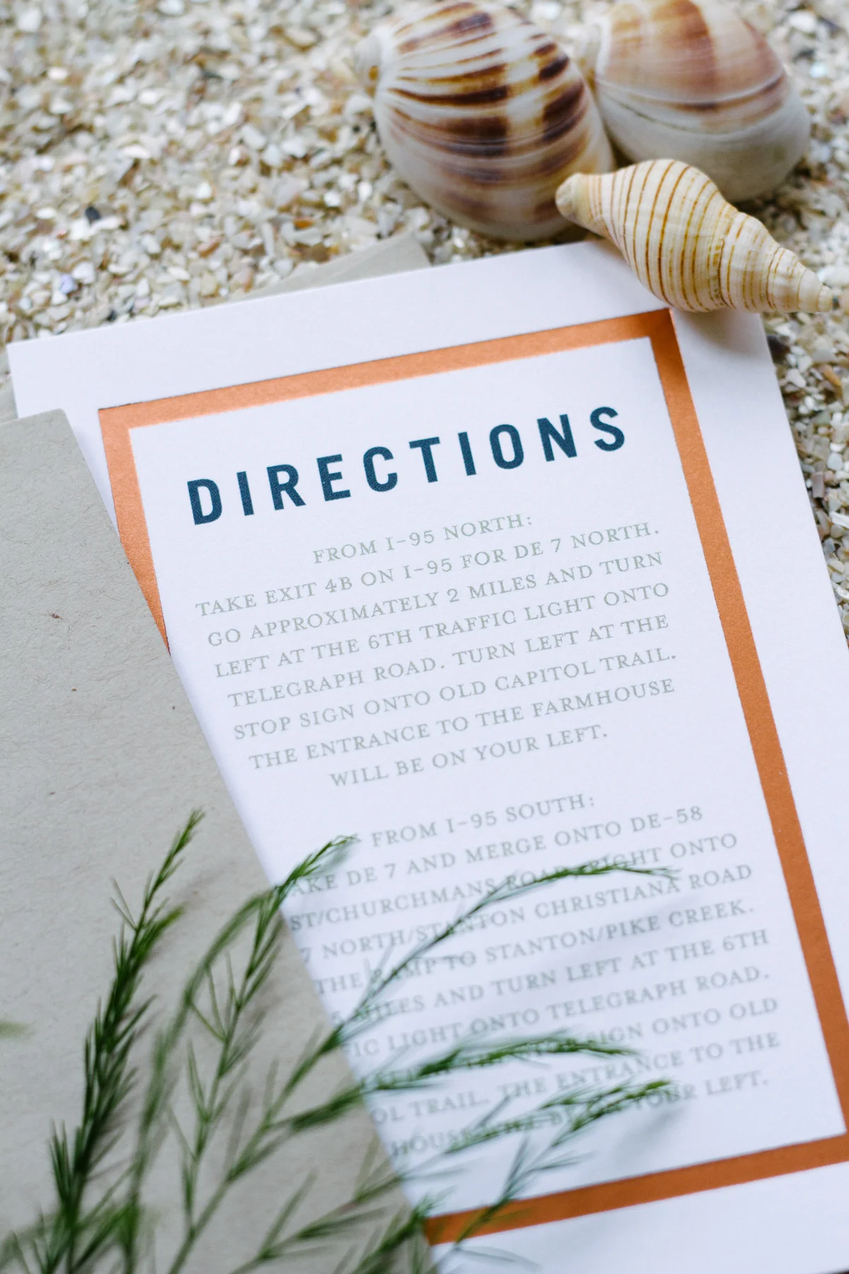 Wedding Invitation Sample Kits - Wedding Paper Divas - Aisle Society