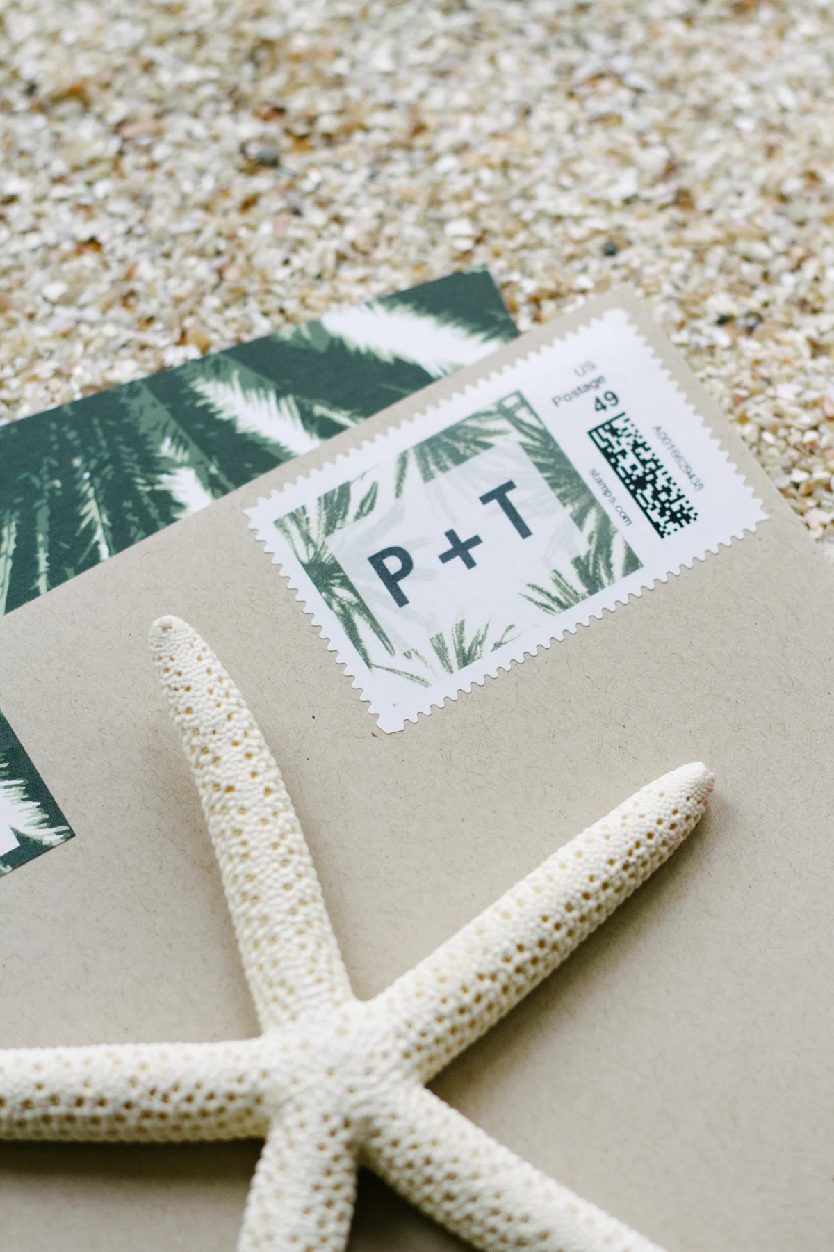 Wedding Invitation Sample Kits - Wedding Paper Divas - Aisle Society