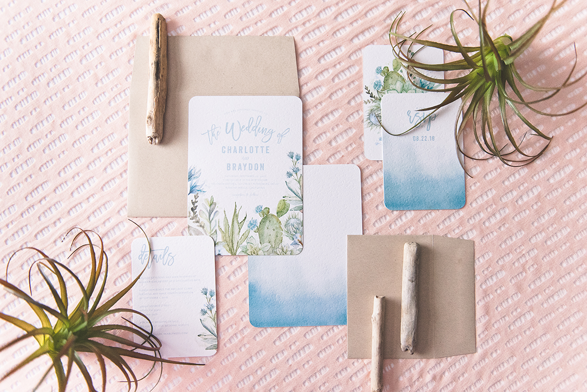 Wedding Invitation Sample Kits - Wedding Paper Divas - Aisle Society