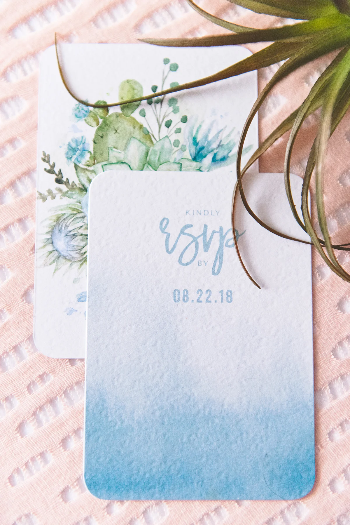 Wedding Invitation Sample Kits - Wedding Paper Divas - Aisle Society