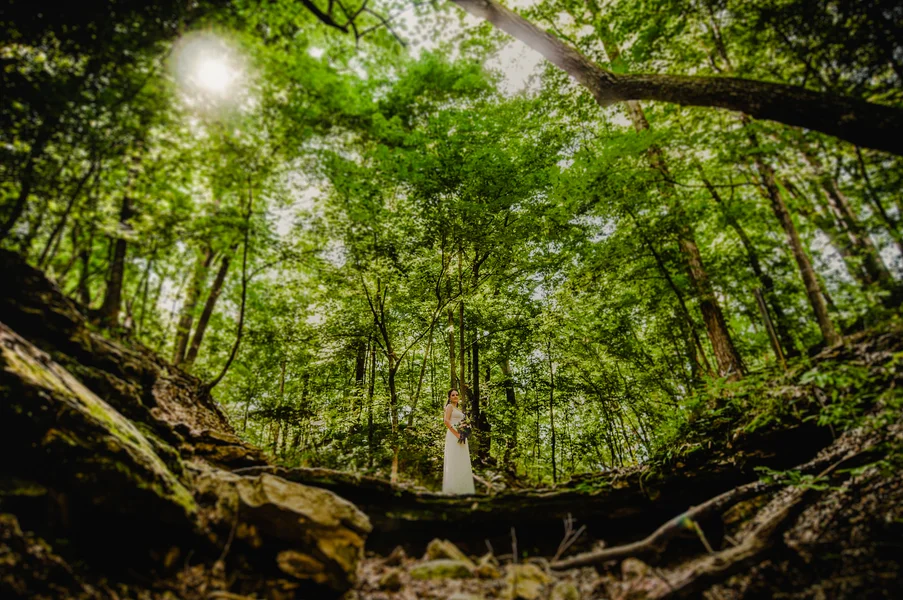 A Forest Wedding Ceremony - Melissa Cervantes Photography