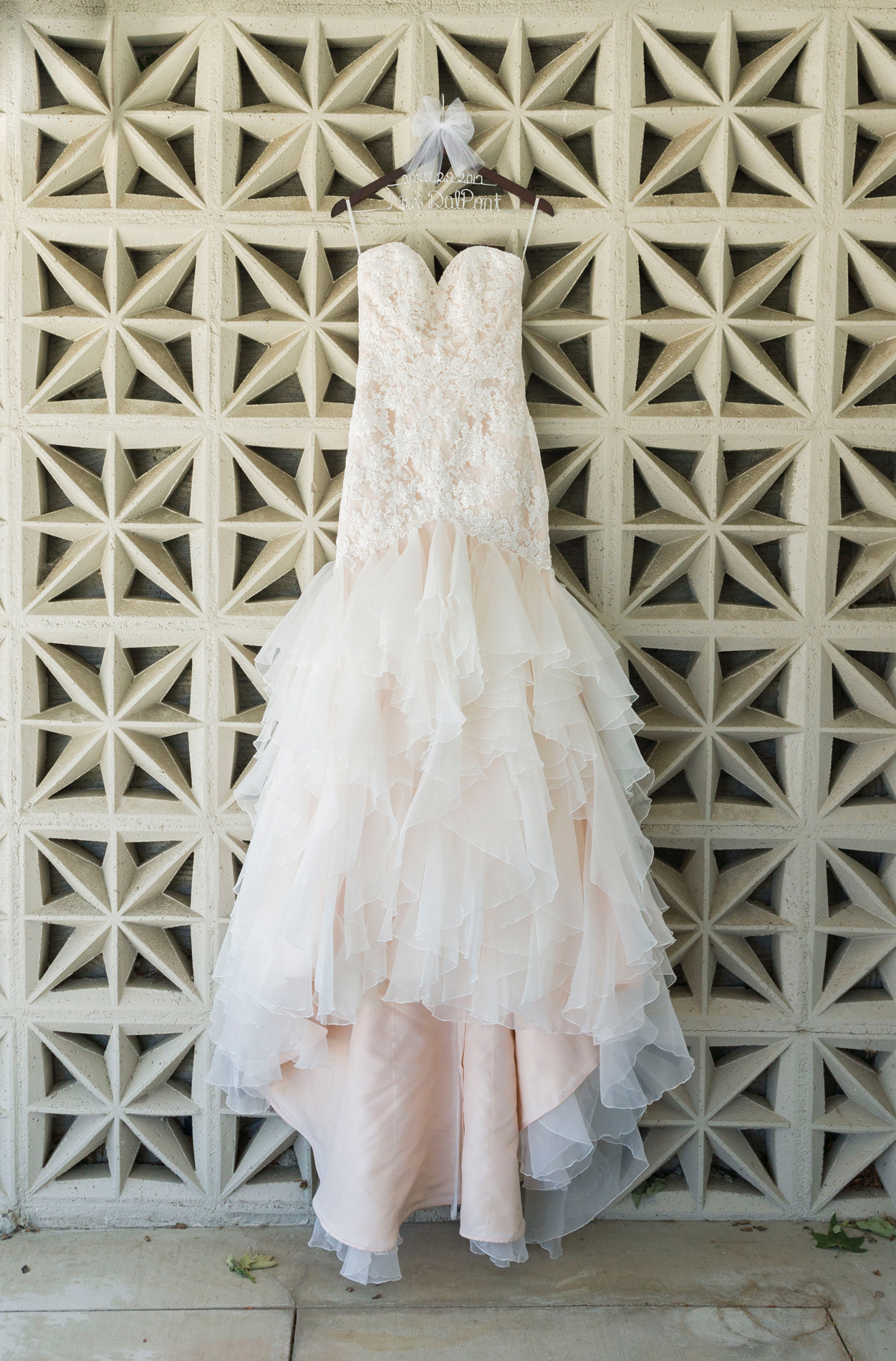 Blush Wedding Dress - A McCoy Equestrian Center Wedding - Peterson Design & Photography