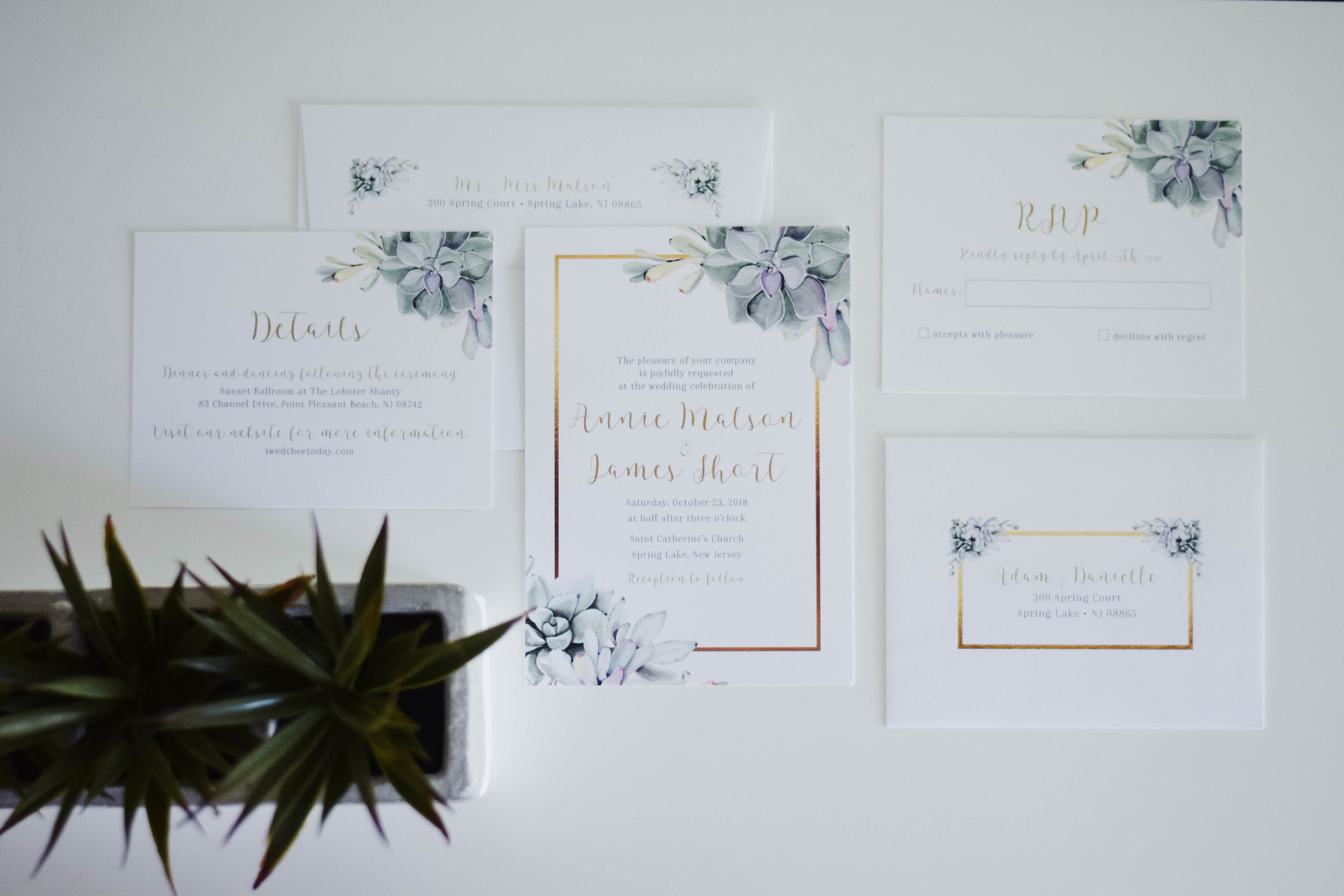 The Bridal Boutique | Succulent Wedding Invitation Suite - Jade Forest Design