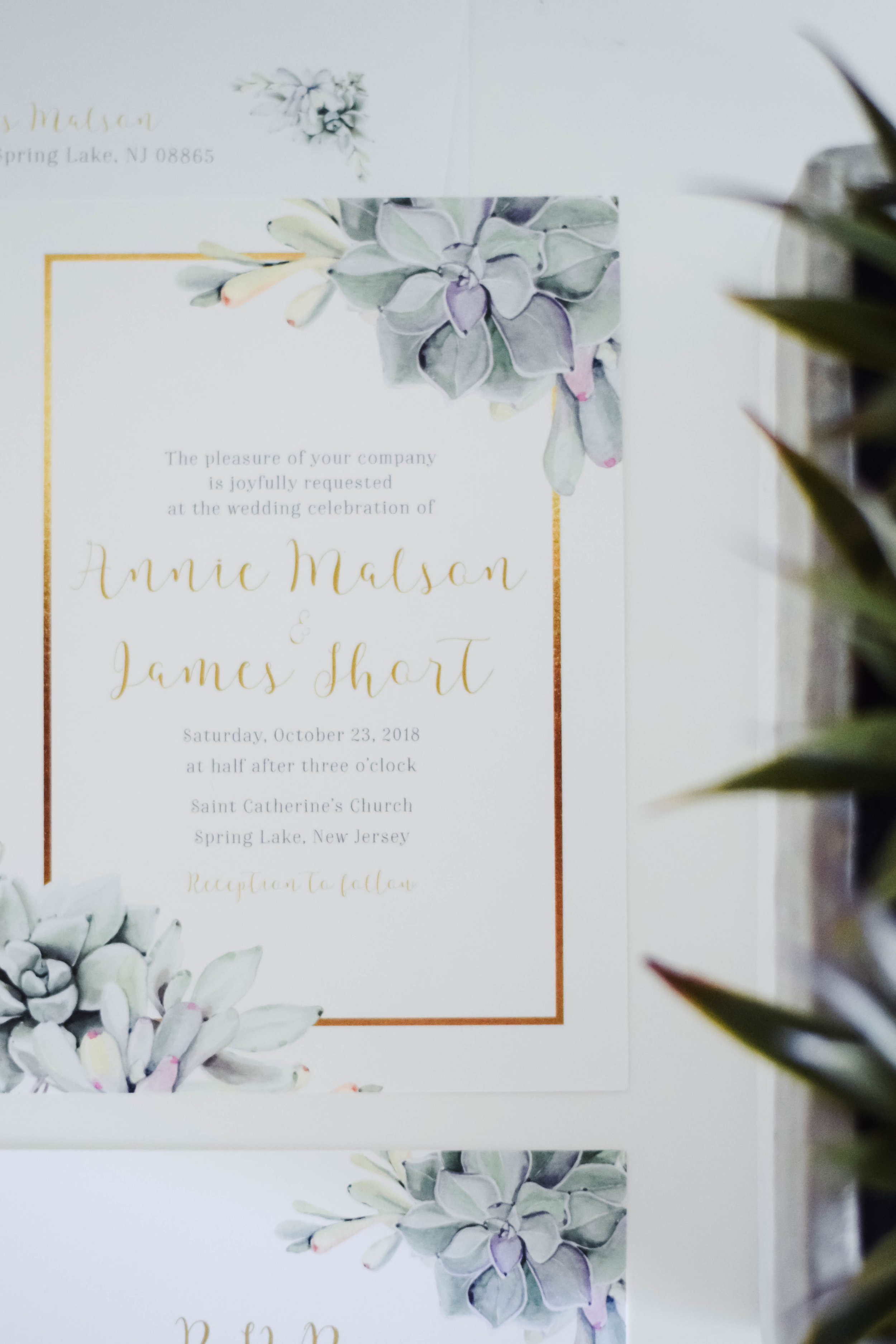 The Bridal Boutique | Succulent Wedding Invitation Suite - Jade Forest Design