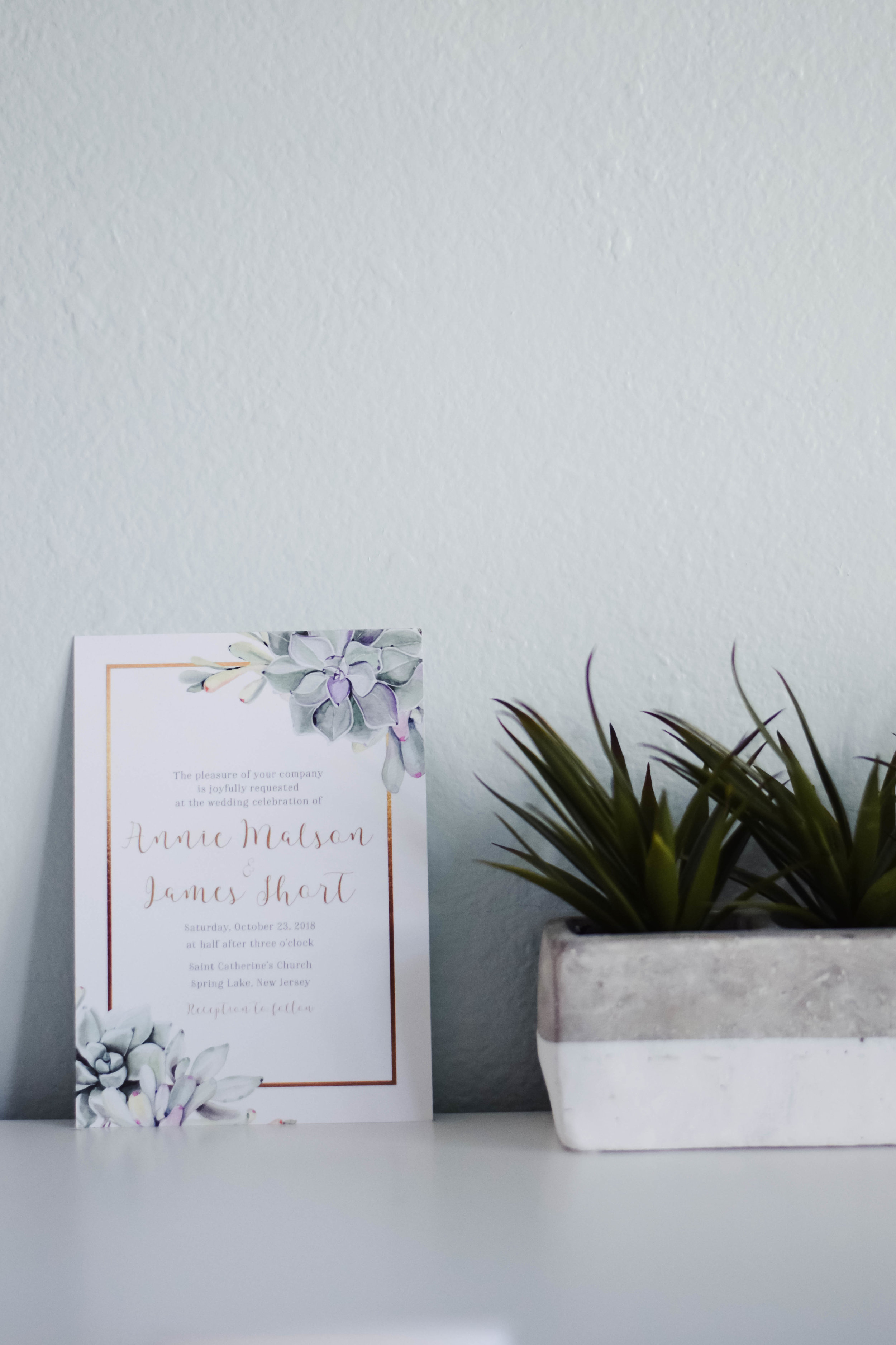 The Bridal Boutique | Succulent Wedding Invitation Suite - Jade Forest Design