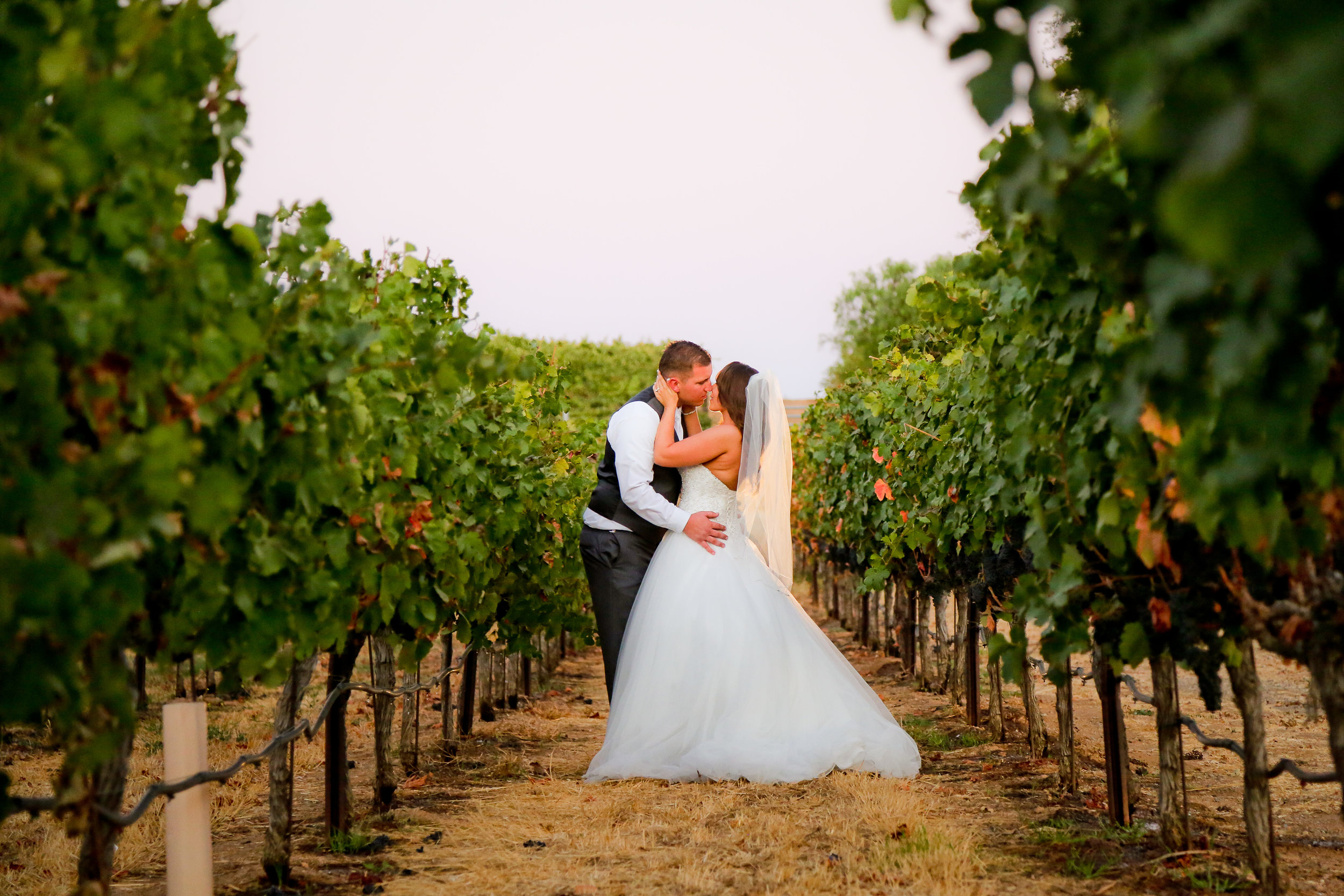 A Las Positas Vineyards Wedding - Stacey & Kelly Chance Discovery Bay Studios