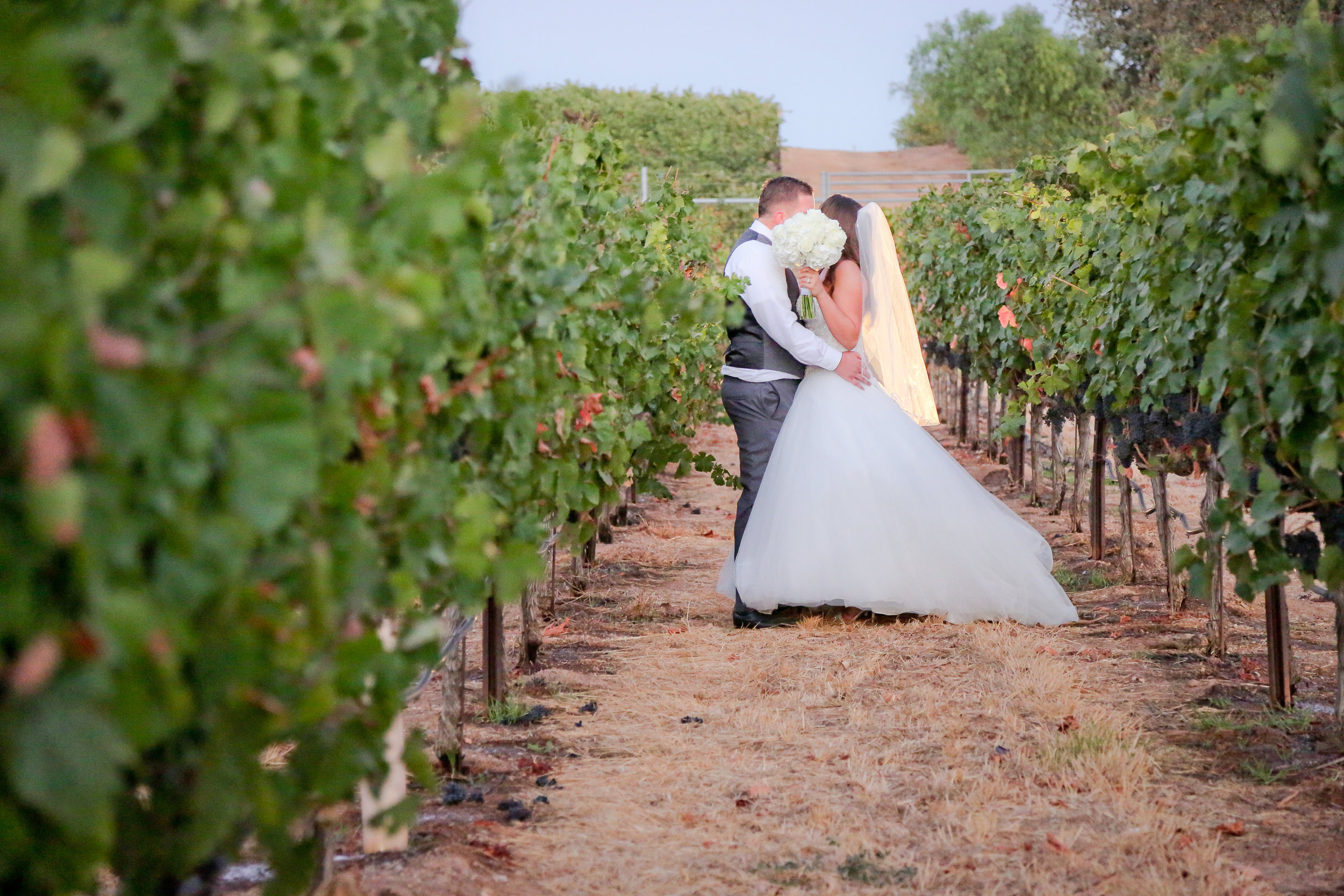 A Las Positas Vineyards Wedding - Stacey & Kelly Chance Discovery Bay Studios