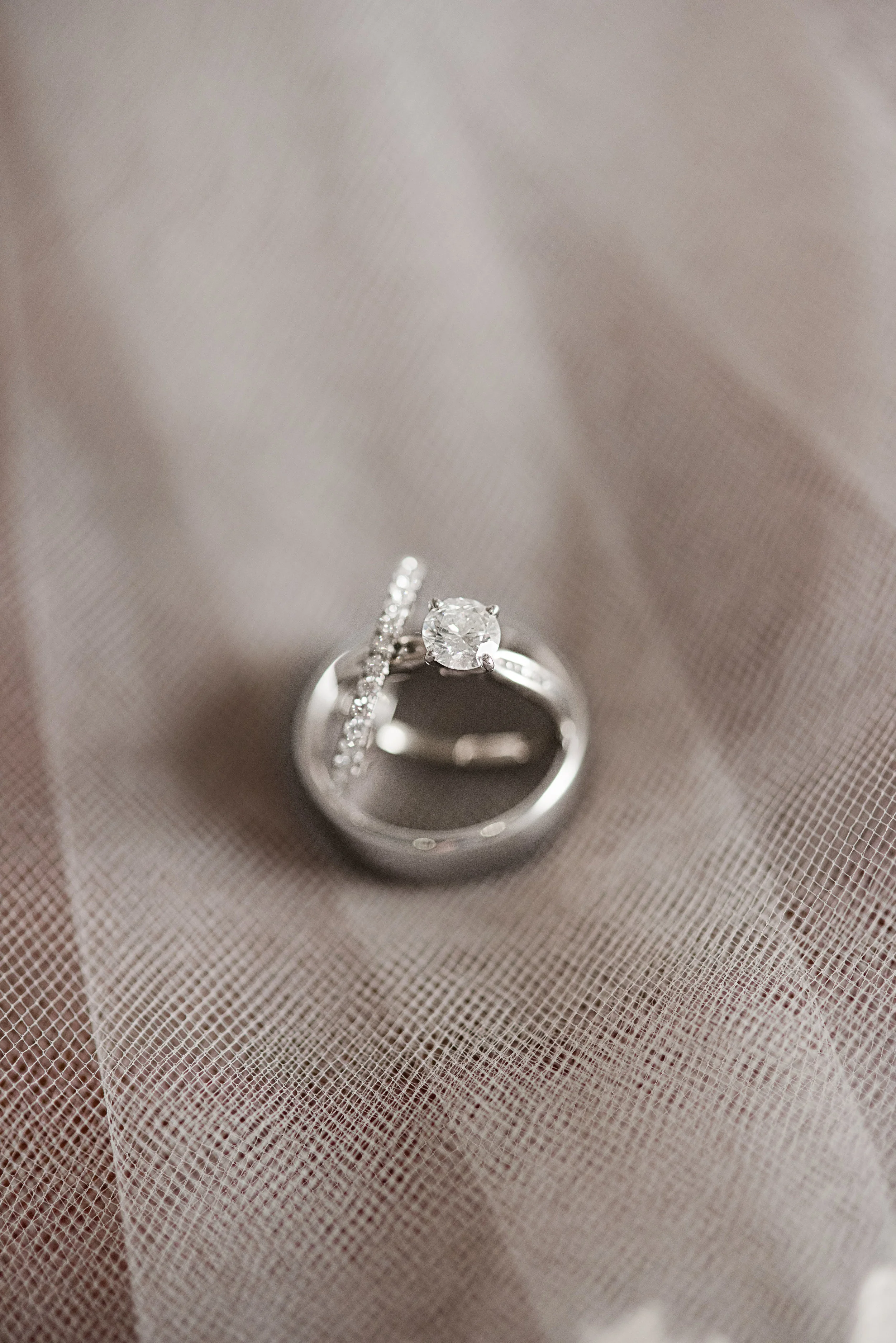 A Charleston Magnolia Plantation Peacock Wedding - Meredith Ryncarz Photography