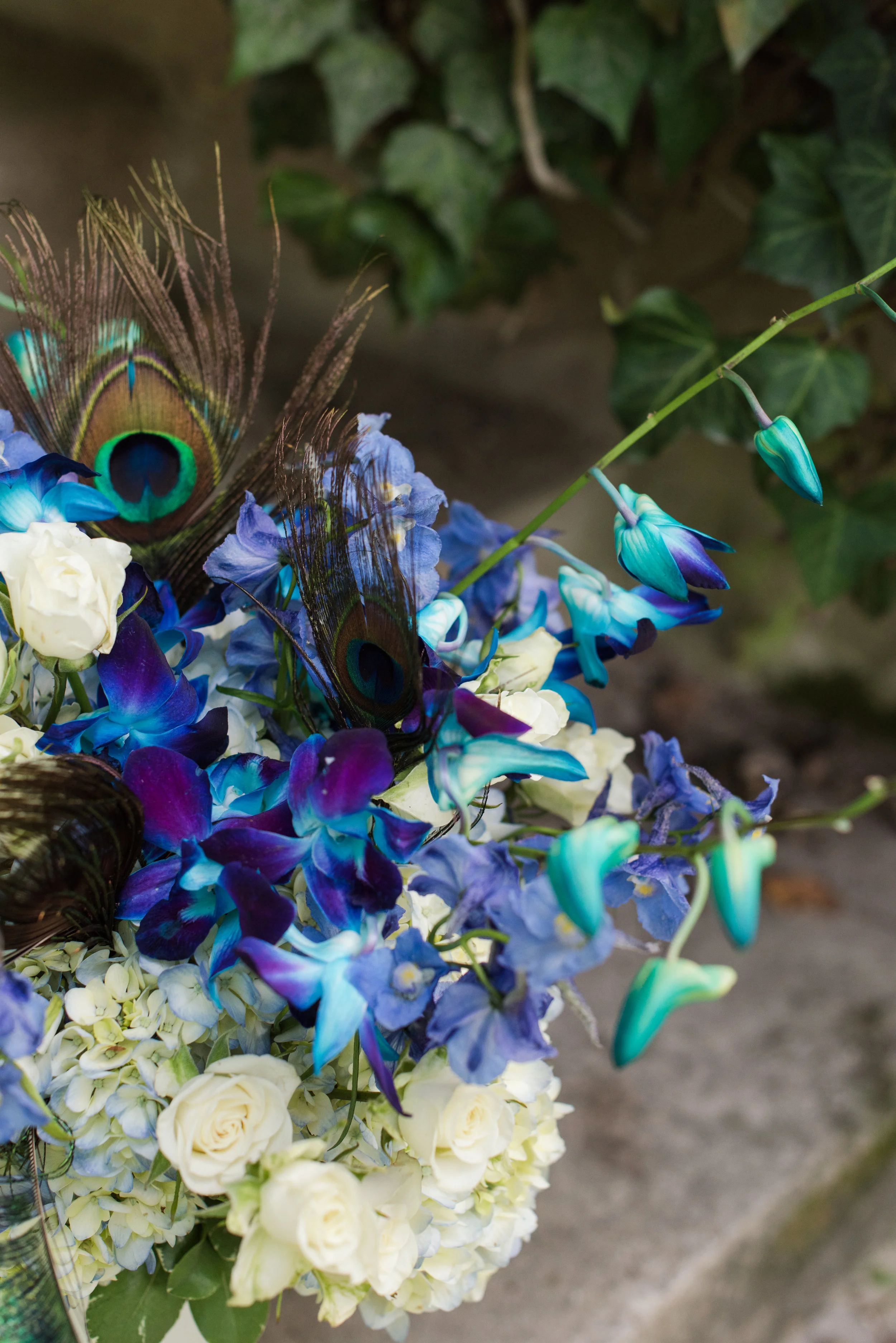A Charleston Magnolia Plantation Peacock Wedding - Meredith Ryncarz Photography