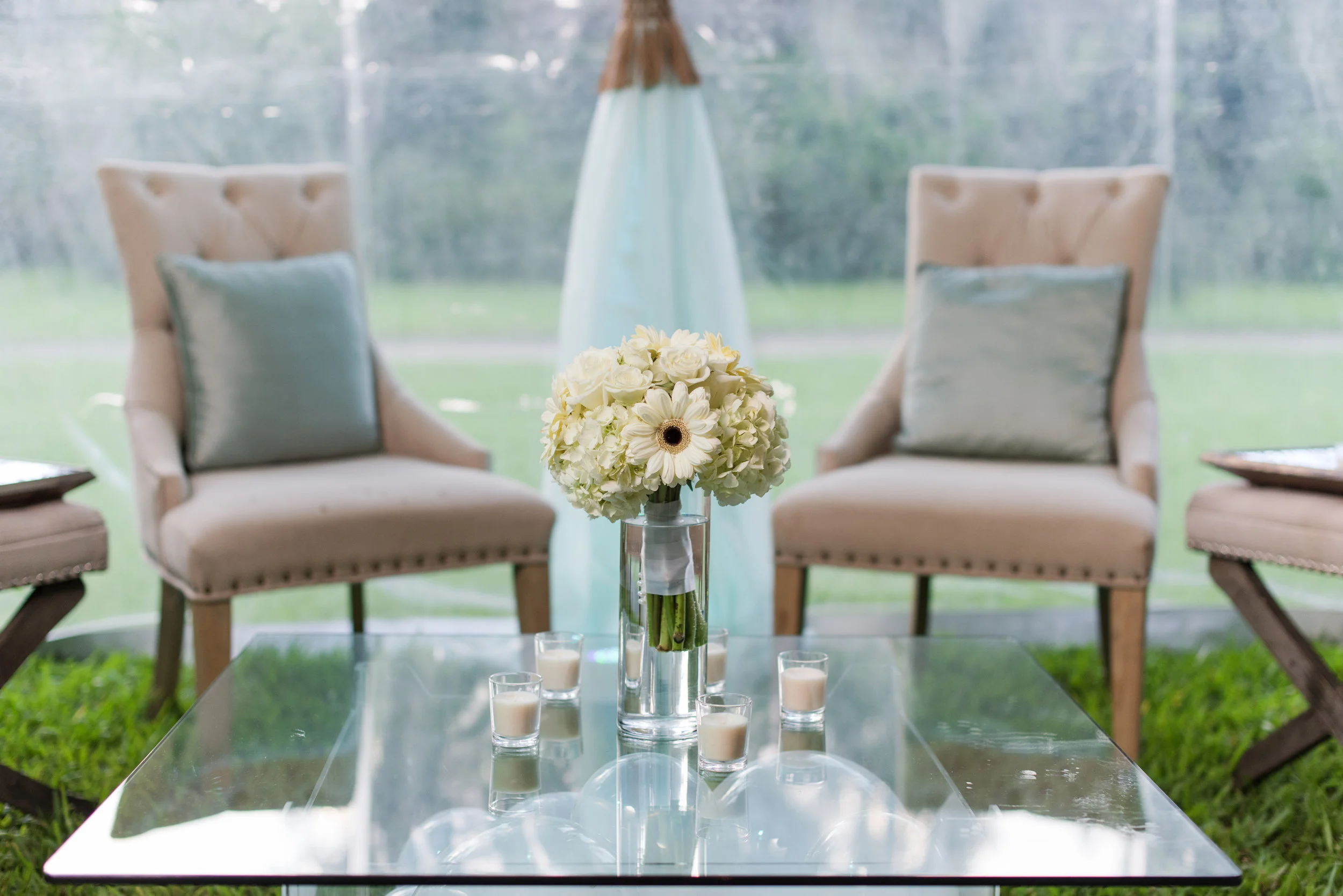 A Charleston Magnolia Plantation Peacock Wedding - Meredith Ryncarz Photography