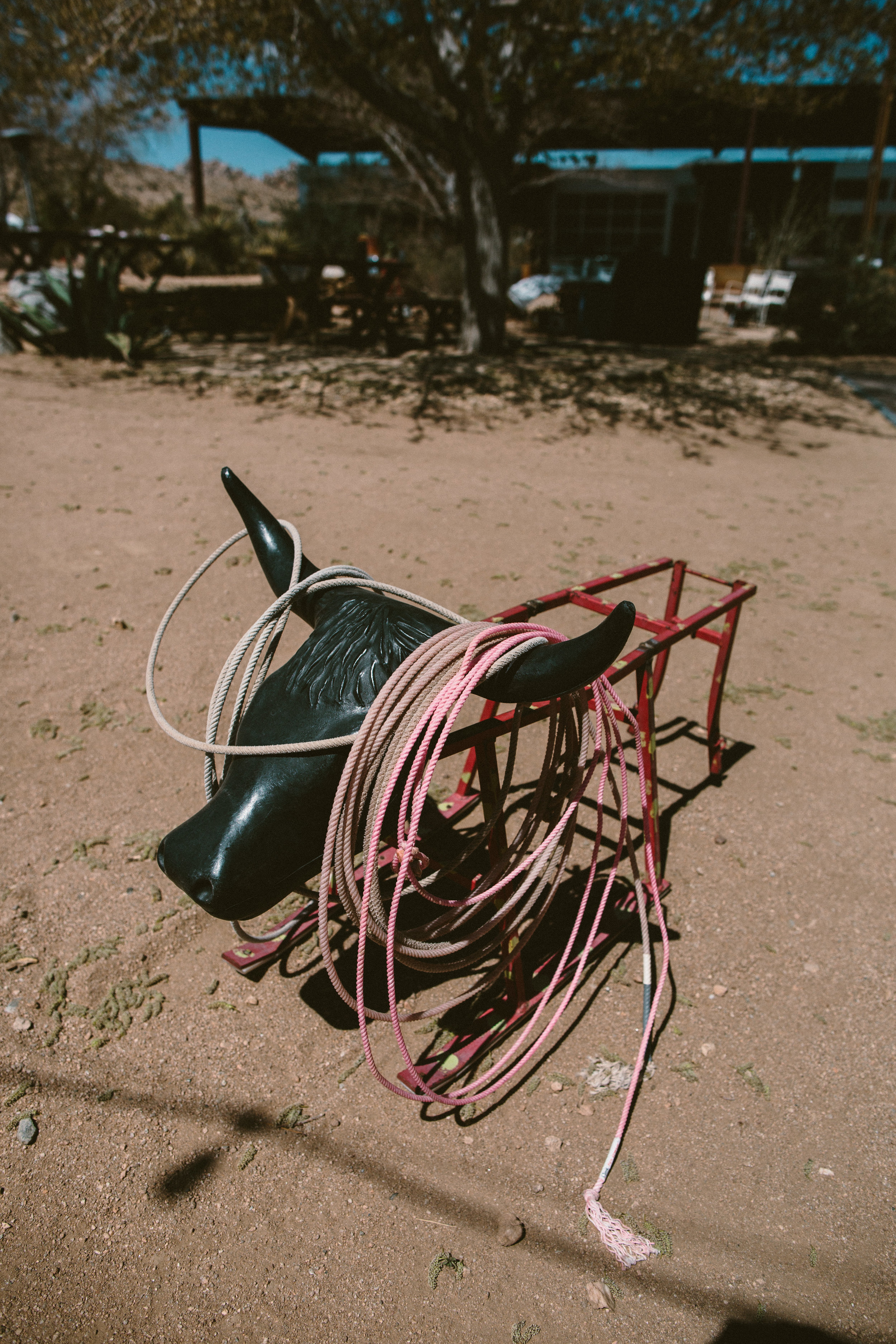 A Rimrock Ranch Bohemian Wedding (with baby goats!) - Westlund Photography