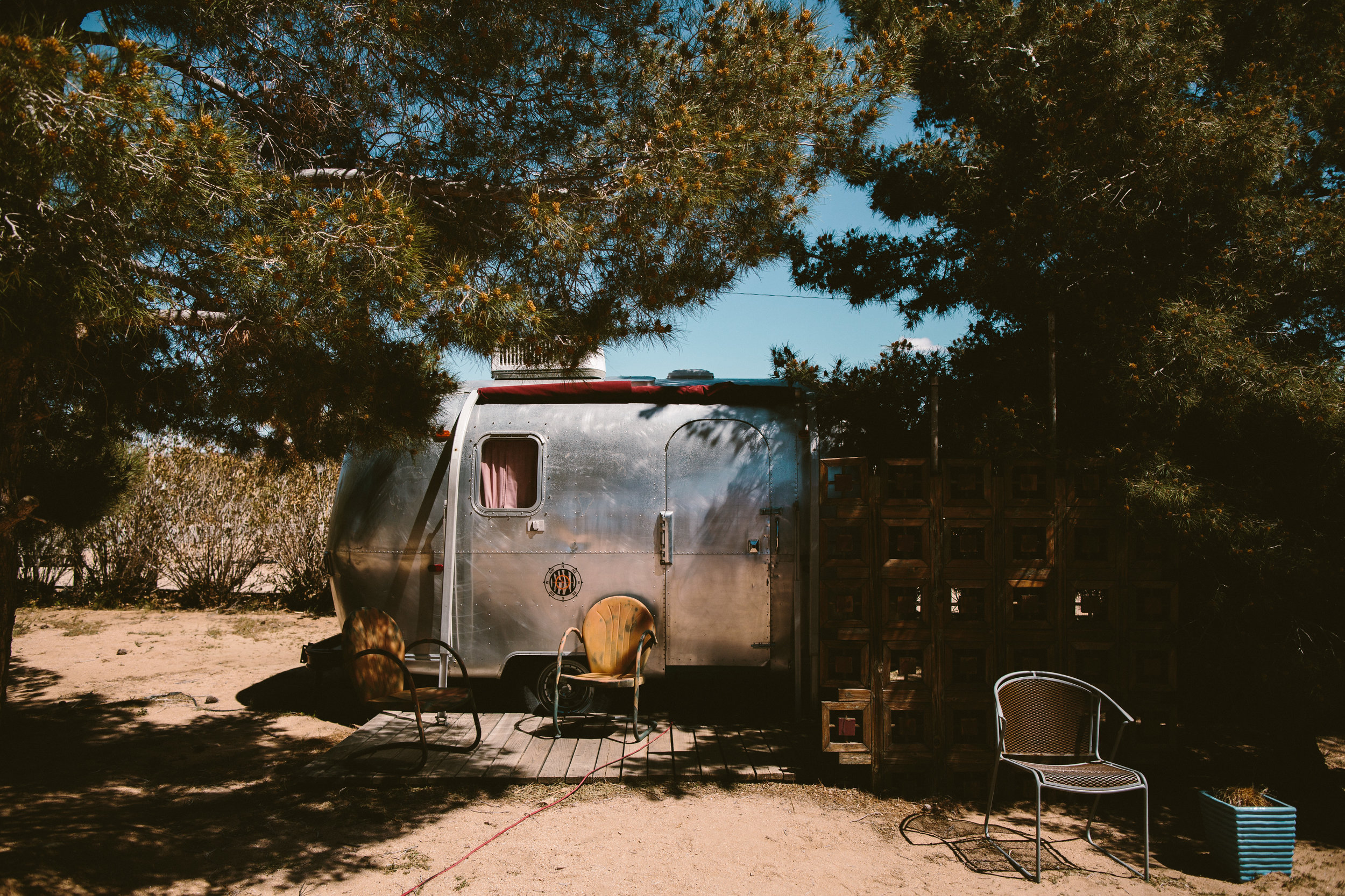 A Rimrock Ranch Bohemian Wedding (with baby goats!) - Westlund Photography