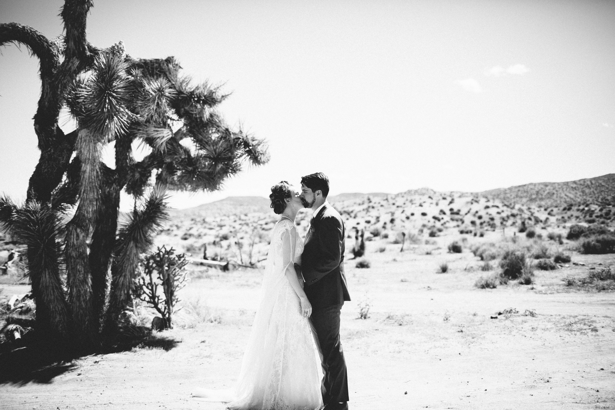 A Rimrock Ranch Bohemian Wedding (with baby goats!) - Westlund Photography