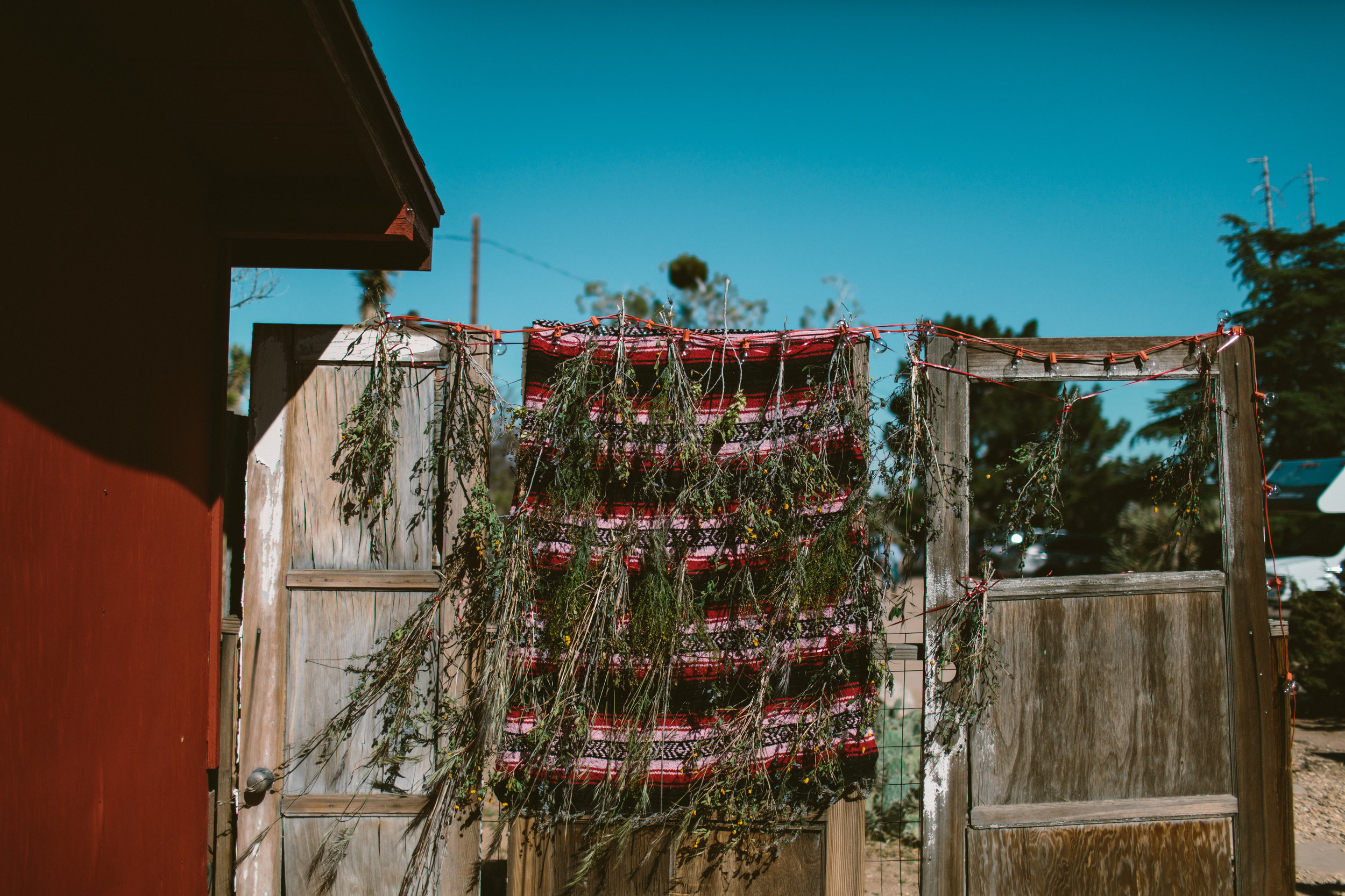 A Rimrock Ranch Bohemian Wedding (with baby goats!) - Westlund Photography