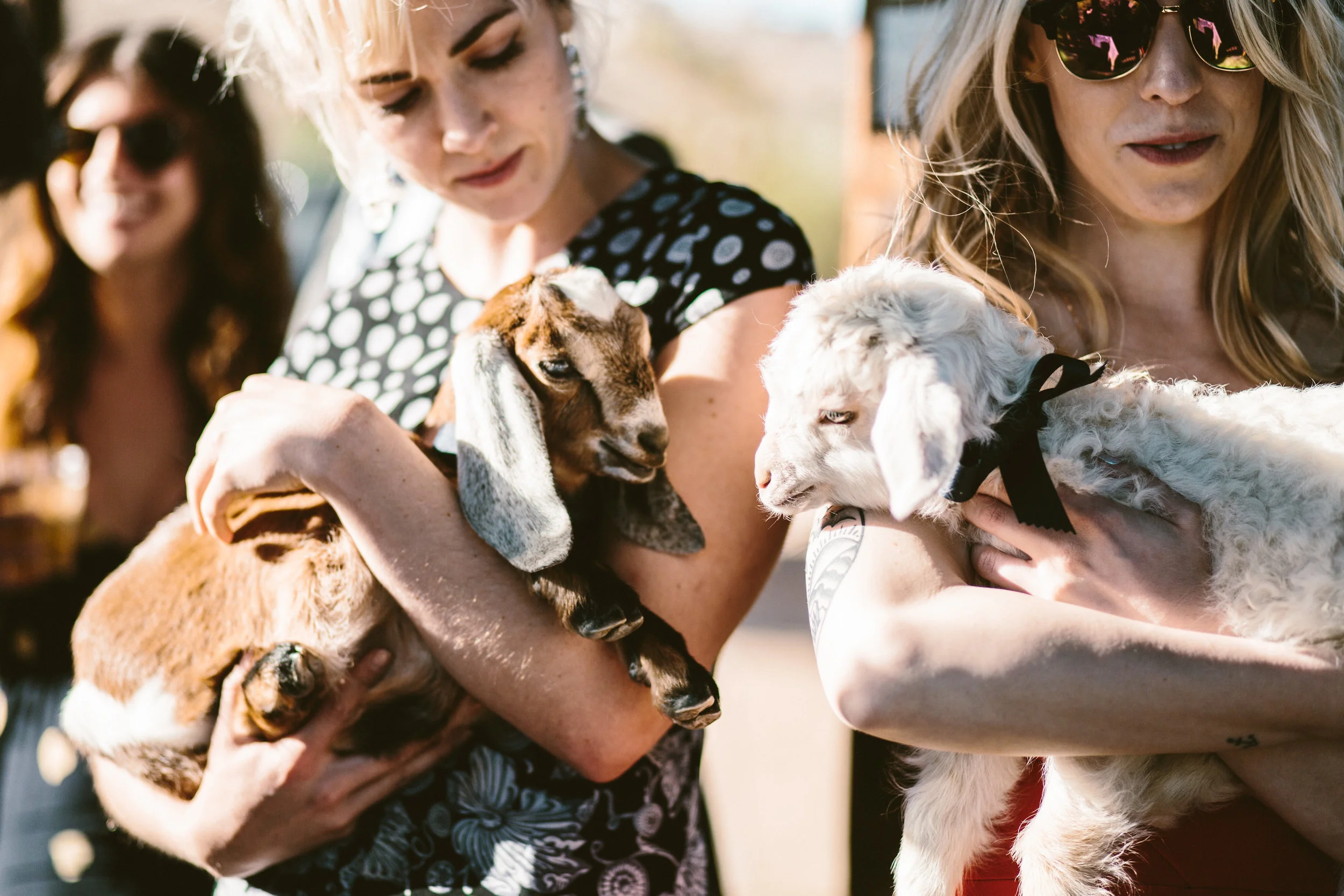 A Rimrock Ranch Bohemian Wedding (with baby goats!) - Westlund Photography