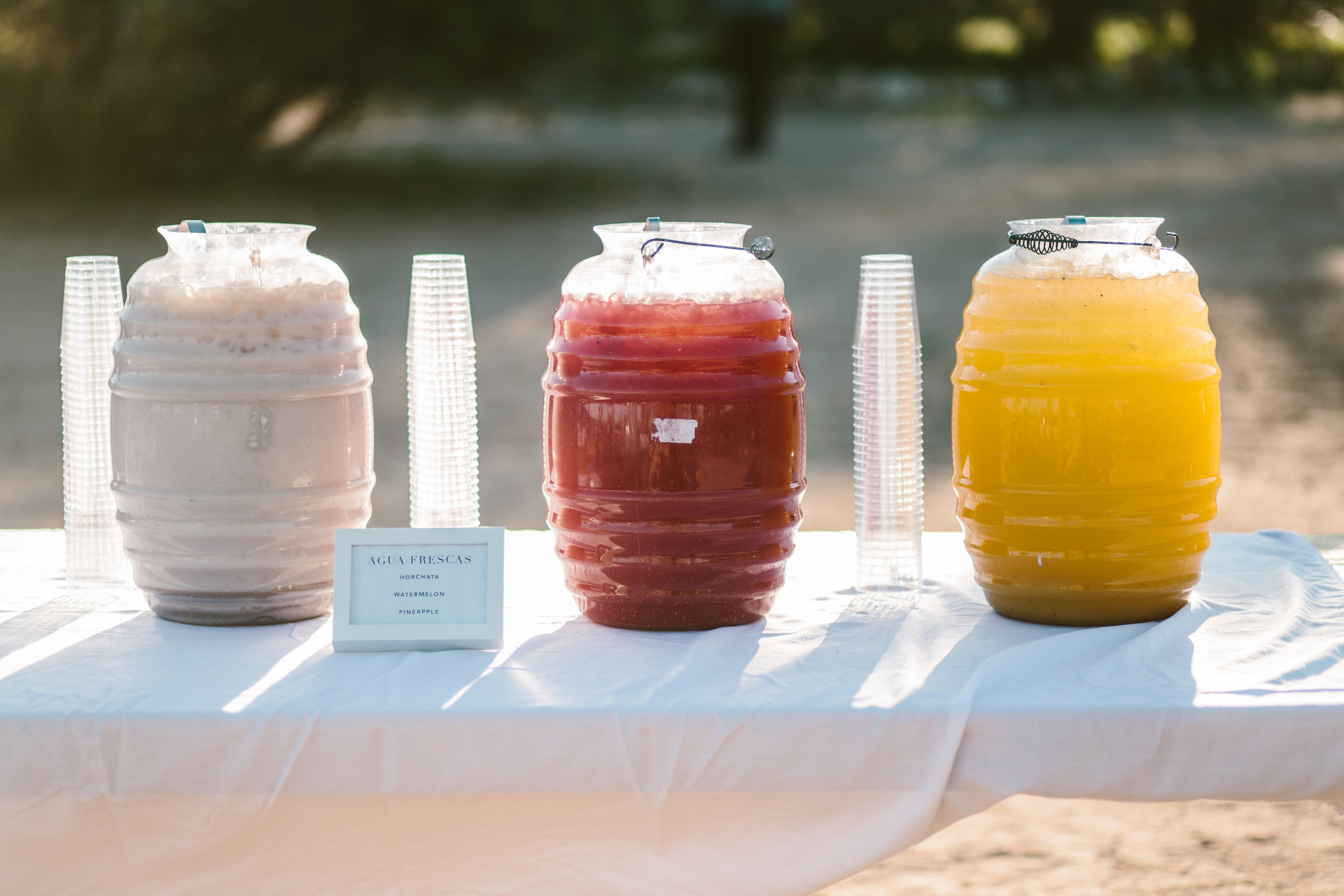 A Rimrock Ranch Bohemian Wedding (with baby goats!) - Westlund Photography