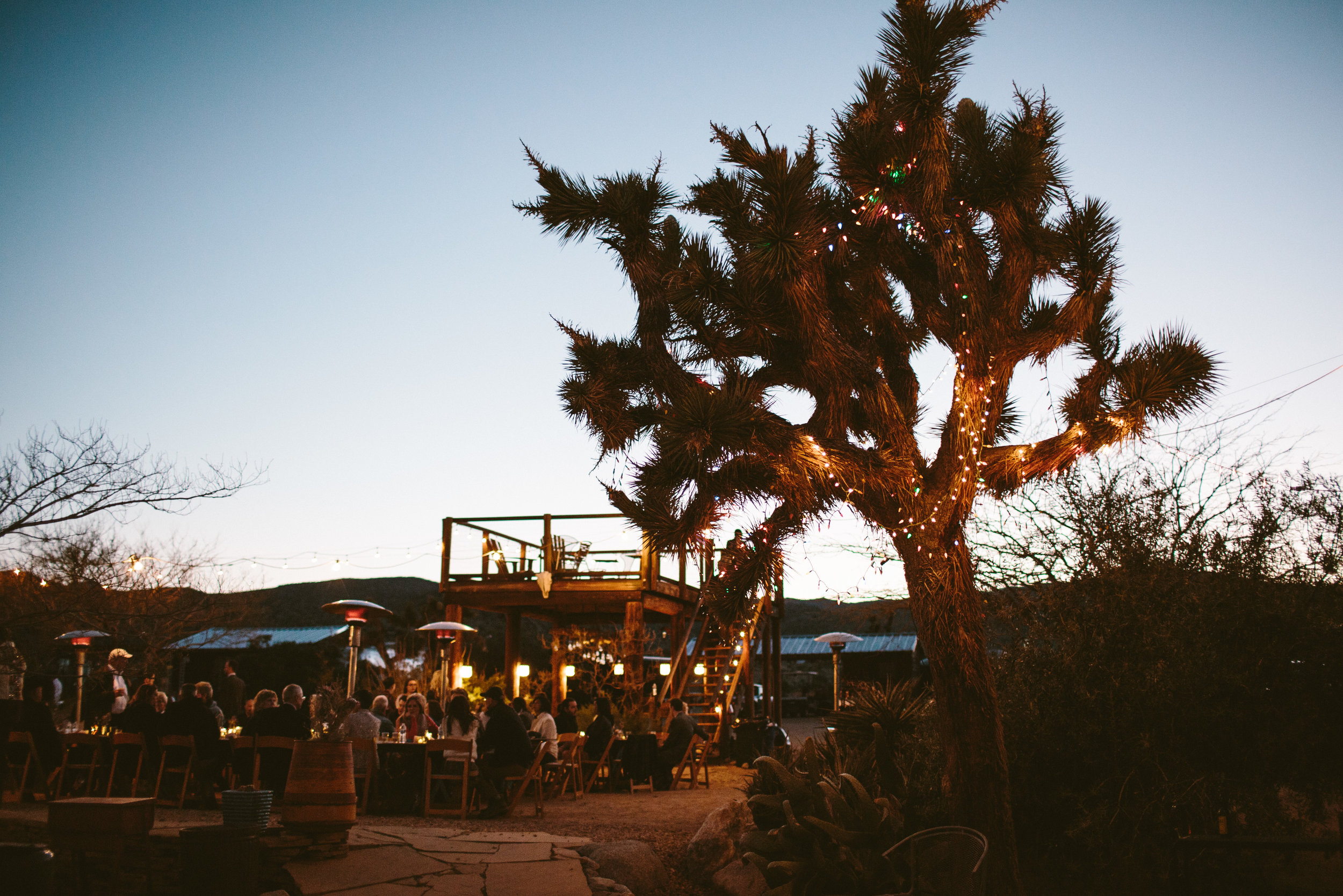 A Rimrock Ranch Bohemian Wedding (with baby goats!) - Westlund Photography