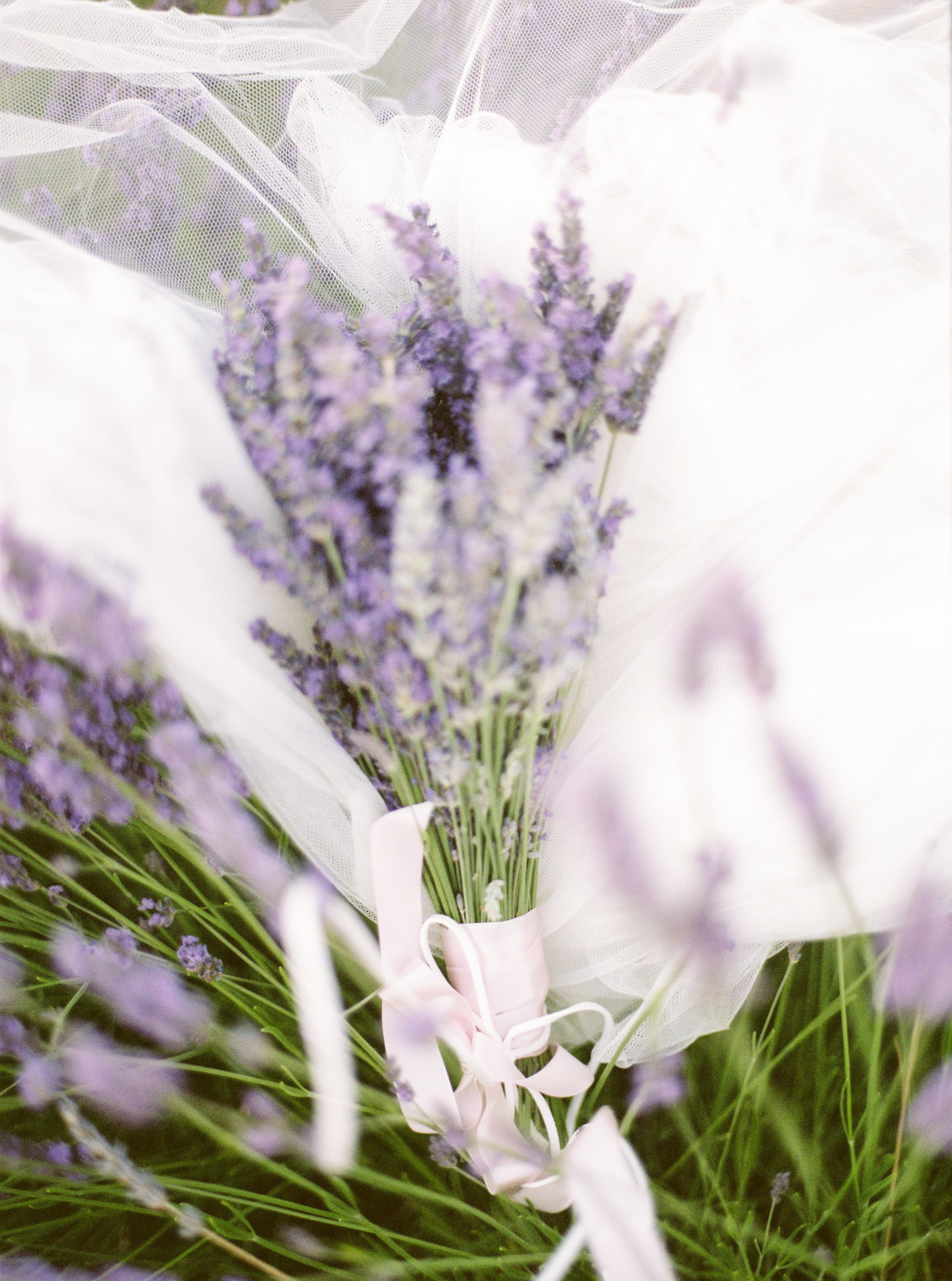 Lavender Field Engagement Photos - Guadalajara Spain Lavender Field - Alla Yachkulo Photography -- Wedding Blog-The Overwhelmed Bride