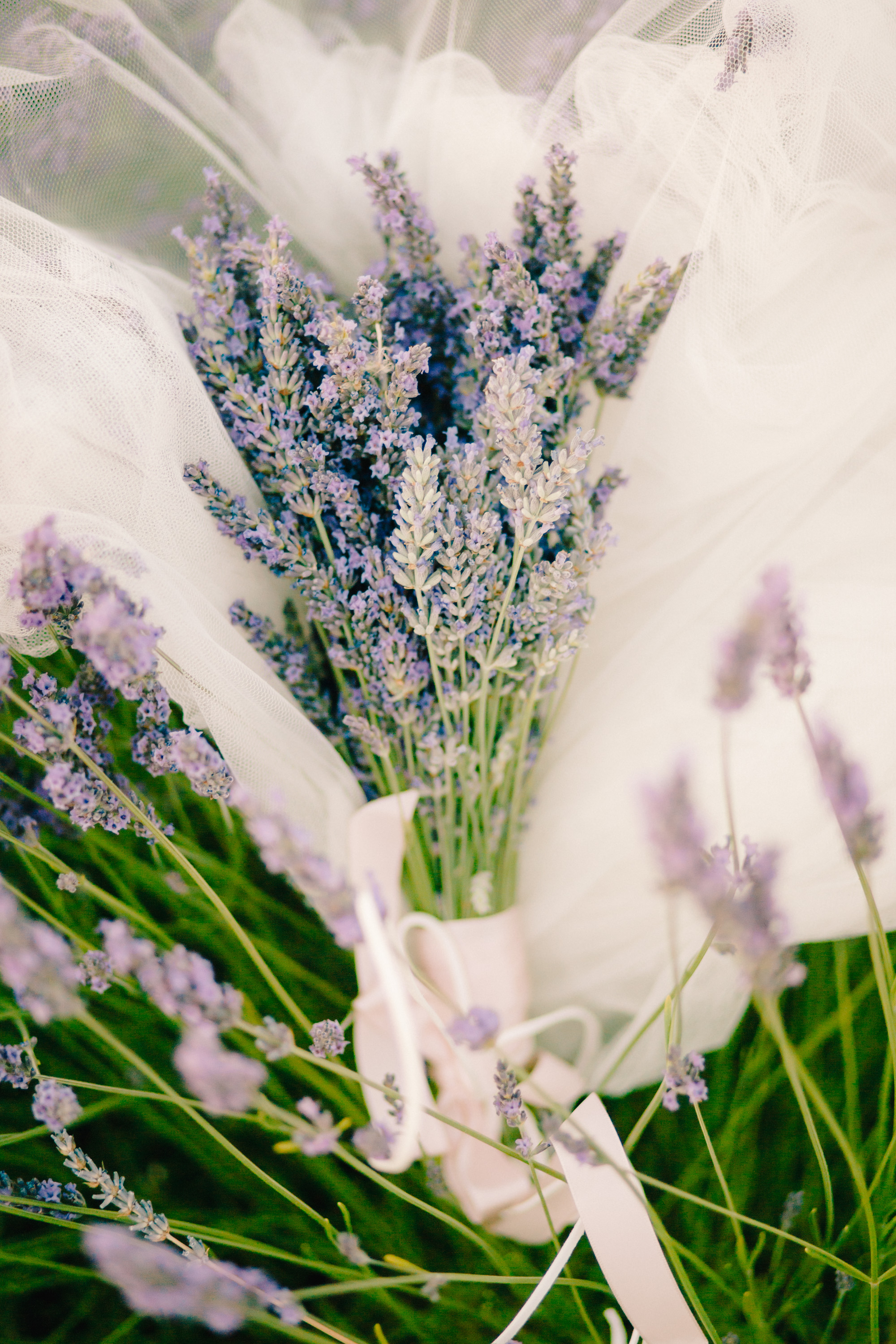 Lavender Field Engagement Photos - Guadalajara Spain Lavender Field - Alla Yachkulo Photography -- Wedding Blog-The Overwhelmed Bride