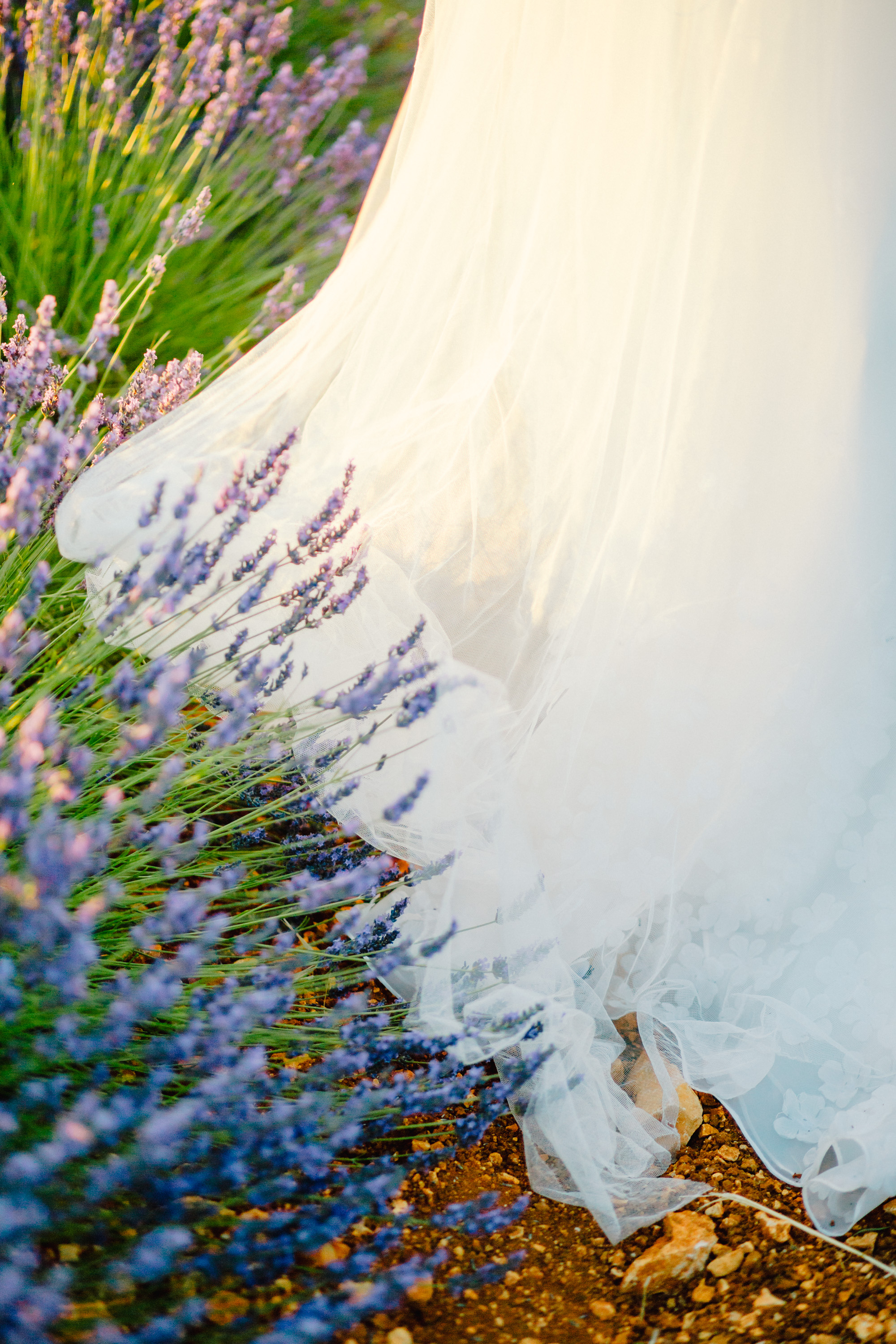 Lavender Field Engagement Photos - Guadalajara Spain Lavender Field - Alla Yachkulo Photography -- Wedding Blog-The Overwhelmed Bride