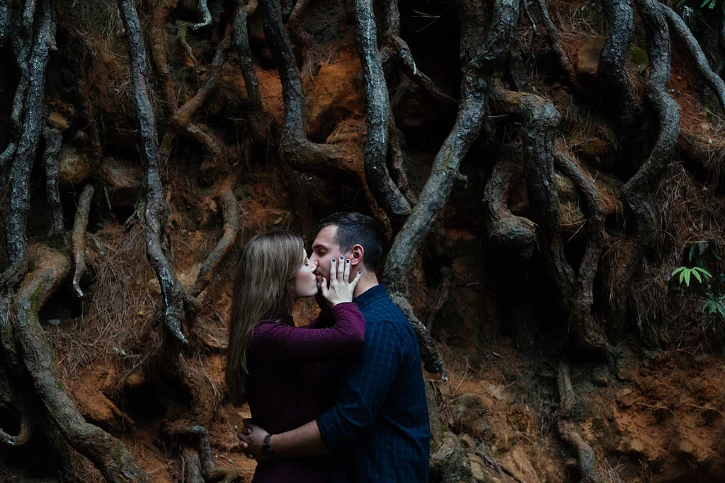 A Cape Town Newlands Forest Engagement Photos - Bianca Asher Photography -- Wedding Blog-The Overwhelmed Bride