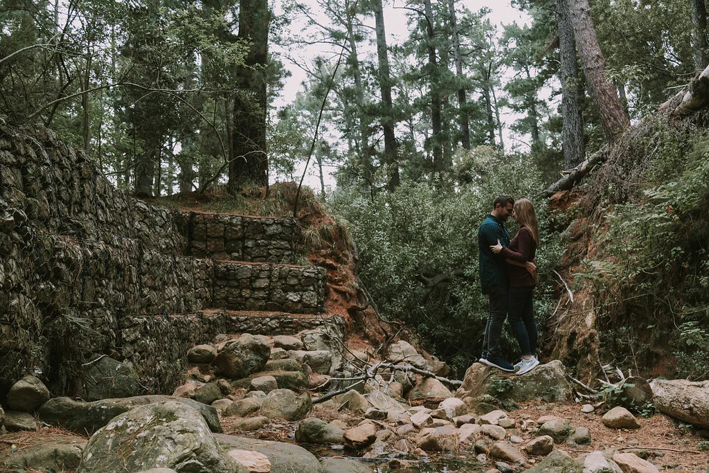 A Cape Town Newlands Forest Engagement Photos - Bianca Asher Photography -- Wedding Blog-The Overwhelmed Bride