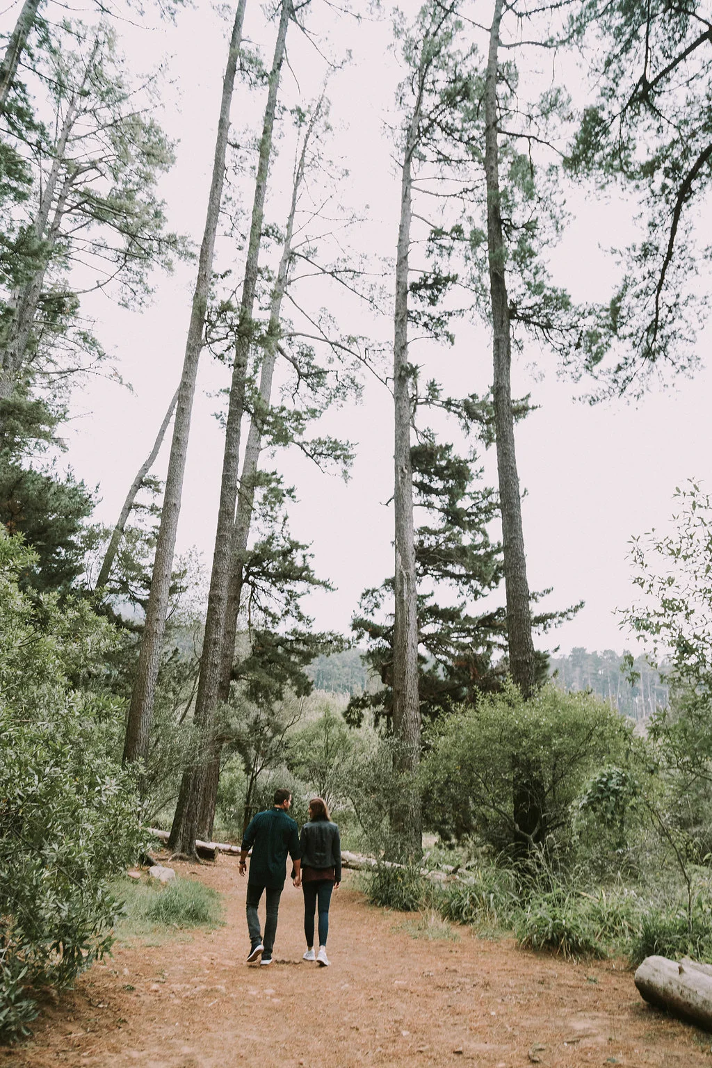 A Cape Town Newlands Forest Engagement Photos - Bianca Asher Photography -- Wedding Blog-The Overwhelmed Bride