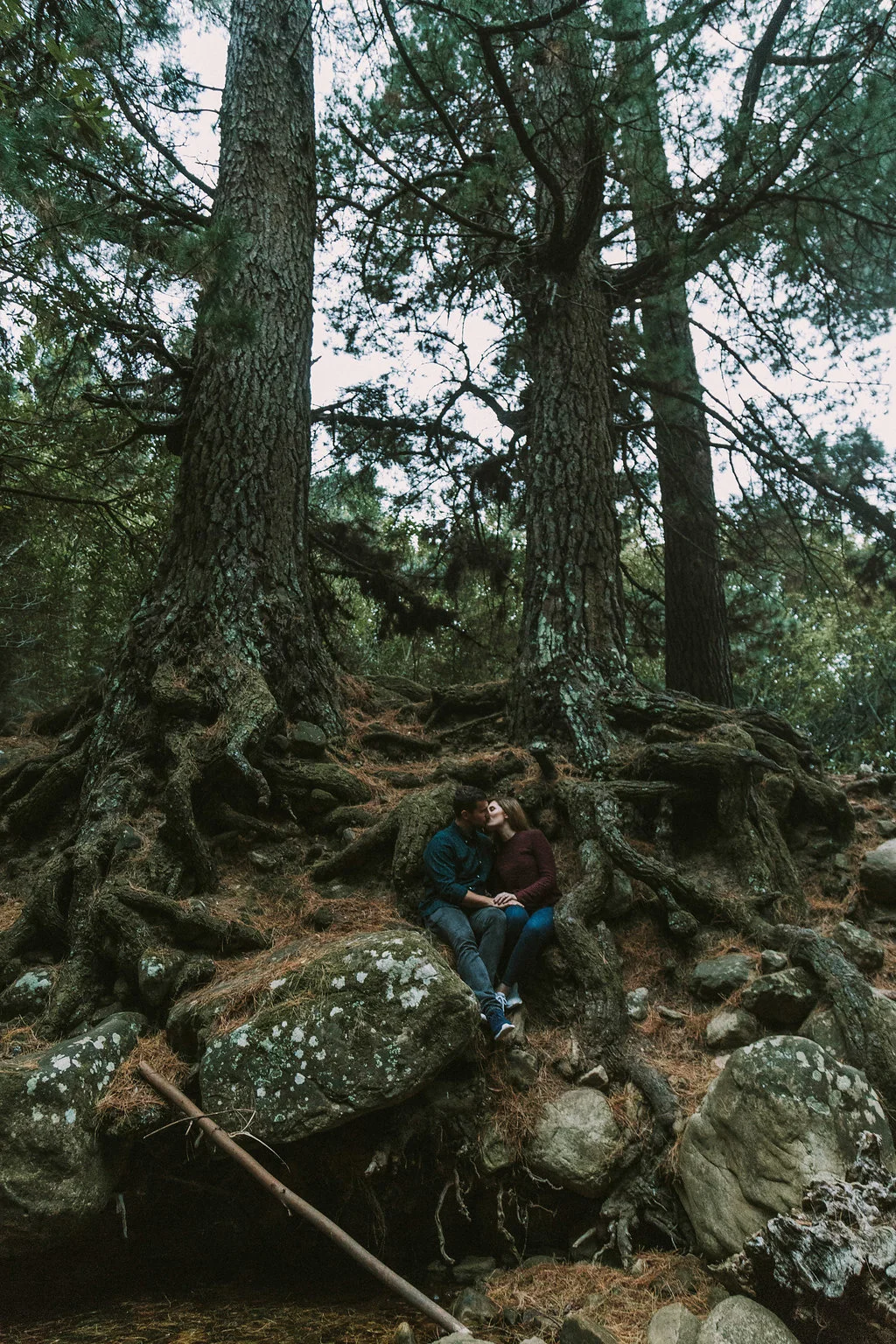 A Cape Town Newlands Forest Engagement Photos - Bianca Asher Photography -- Wedding Blog-The Overwhelmed Bride