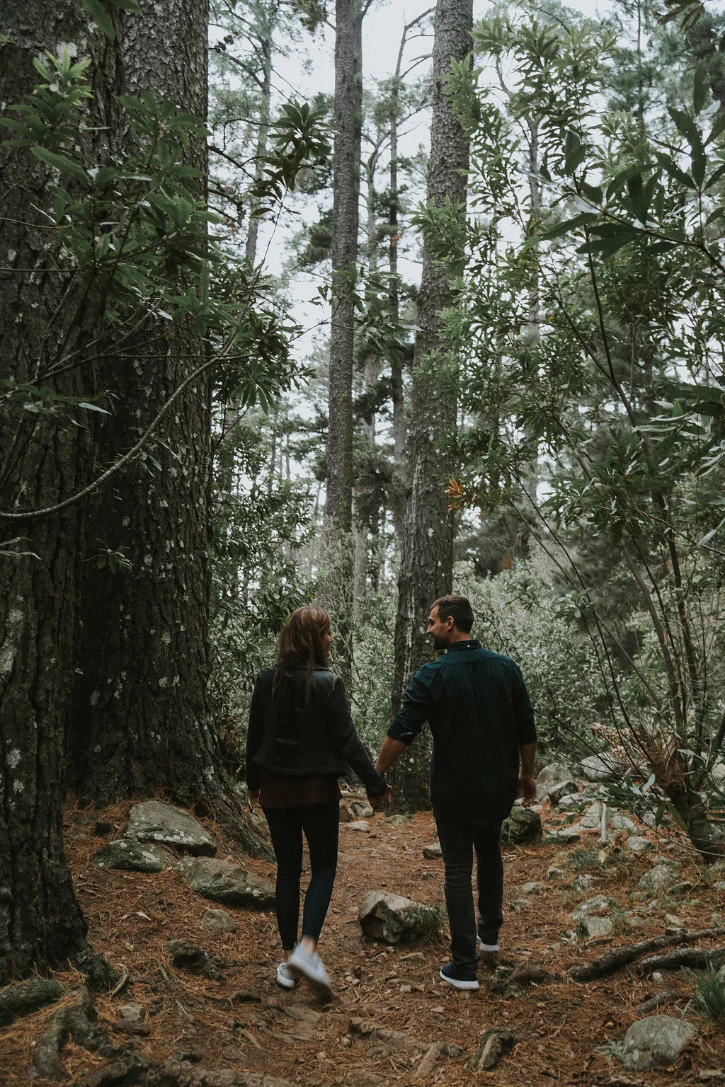 A Cape Town Newlands Forest Engagement Photos - Bianca Asher Photography -- Wedding Blog-The Overwhelmed Bride