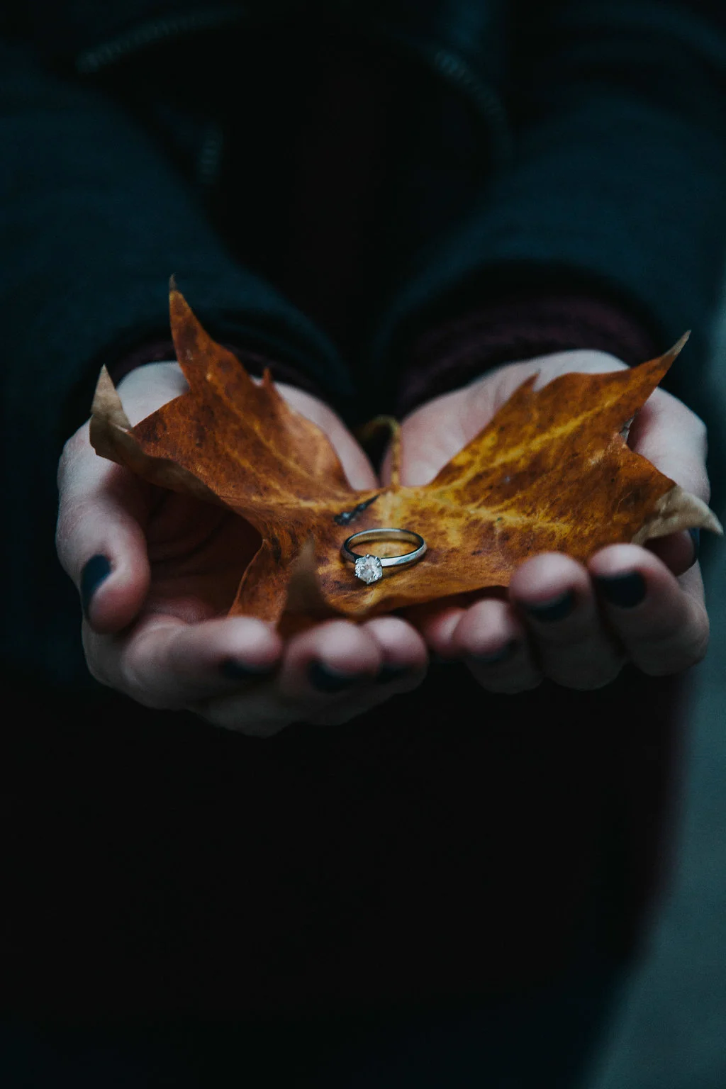 A Cape Town Newlands Forest Engagement Photos - Bianca Asher Photography -- Wedding Blog-The Overwhelmed Bride