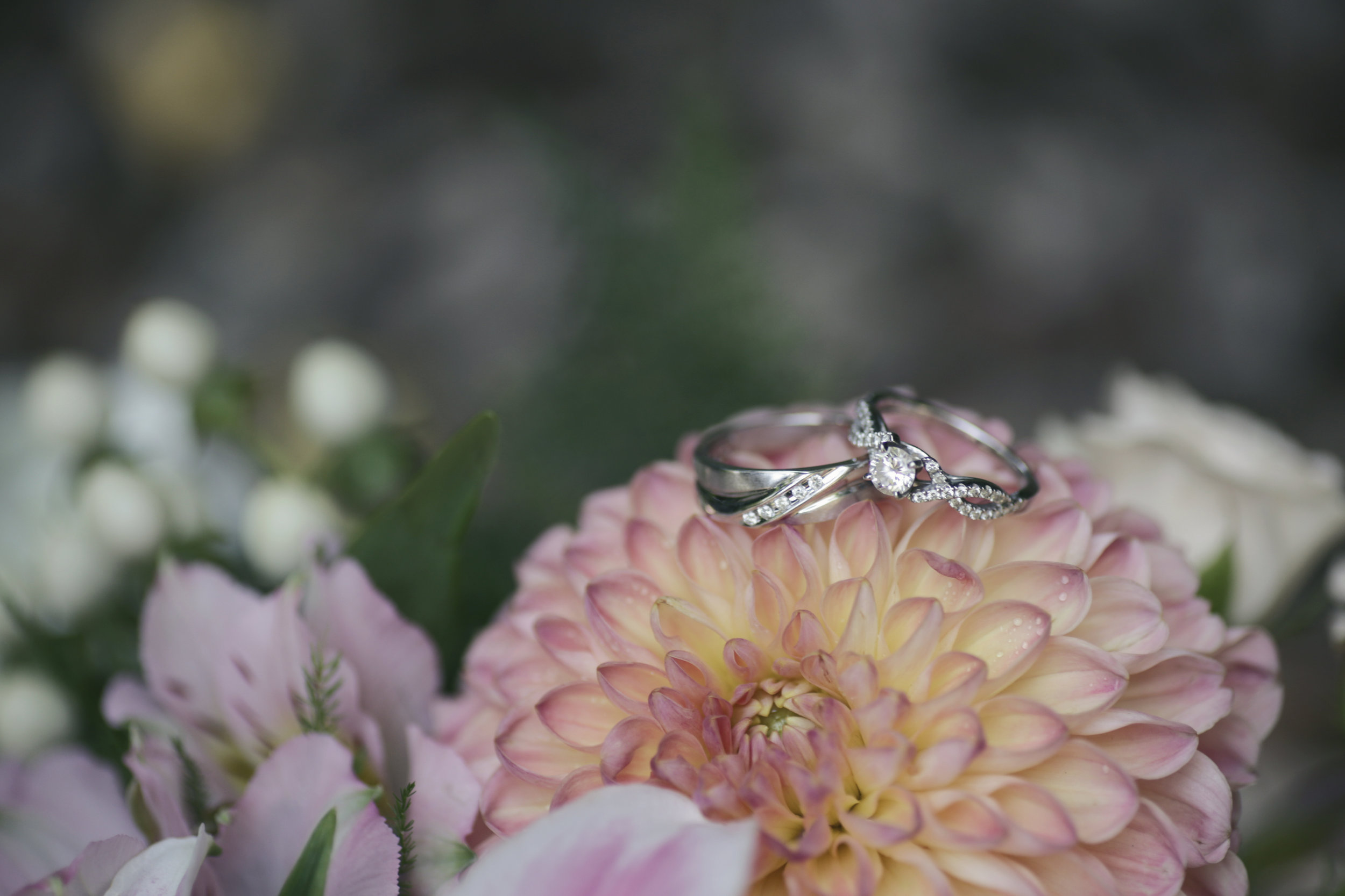 Fallbrook, CA Wedding Venue - The Grand Tradition Wedding - Astray Photography | Wedding Blog-The Overwhelmed Bride