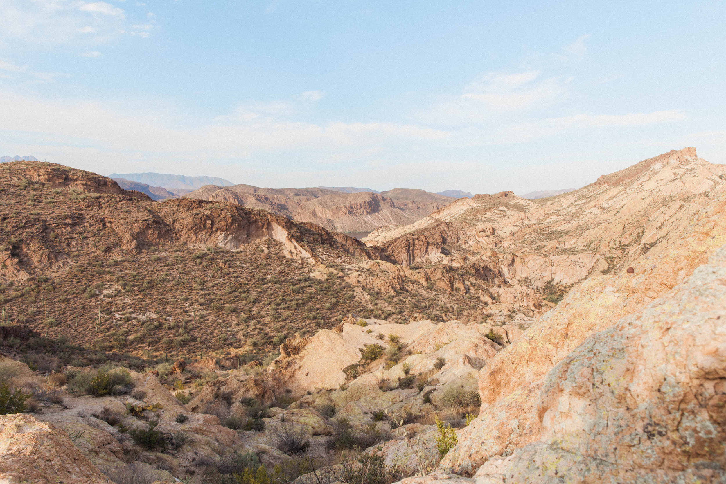 A Simple, DIY Arizona Wedding - Shaleena Danielle Photography -- Wedding Blog - The Overwhelmed Bride