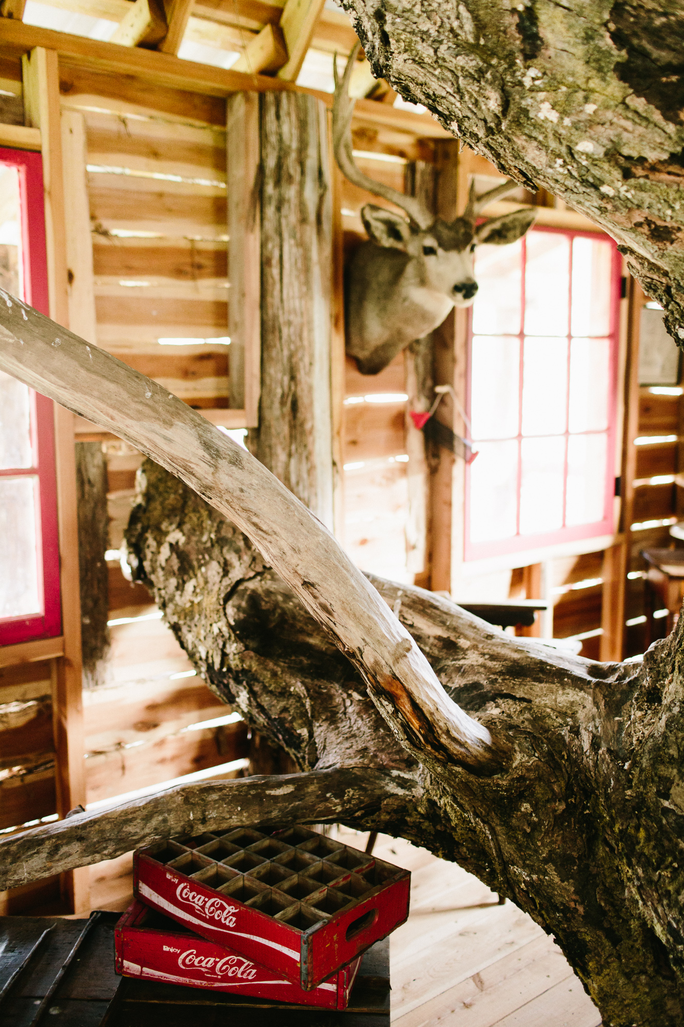 Outdoorsy Adventure Engagement Photos - Moonshine Hill Wedding - High Five for Love Photography -- Wedding Blog - The Overwhelmed Bride