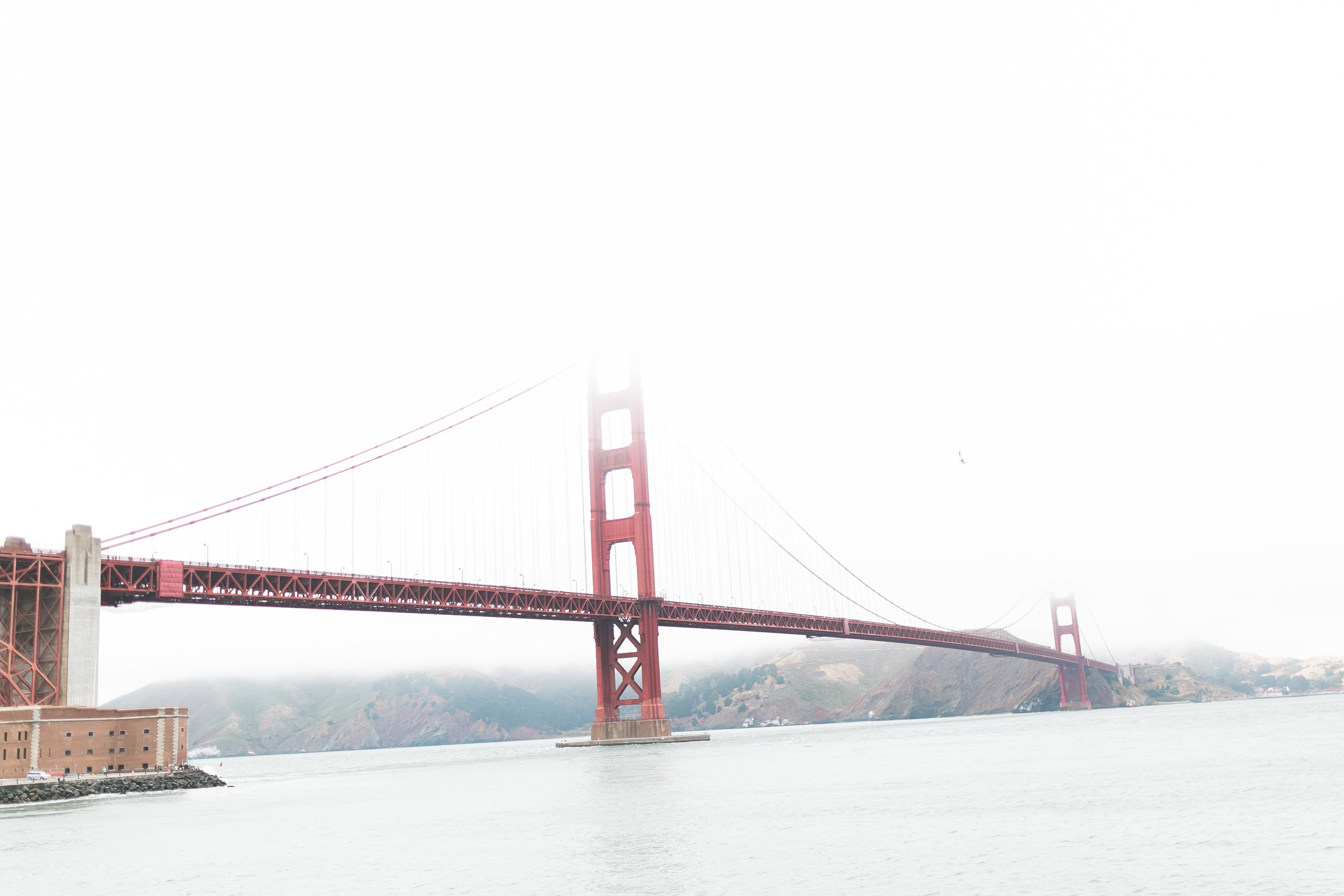 An Intimate San Francisco City Hall Wedding - J.Anne Photography -- Wedding Blog - The Overwhelmed Bride