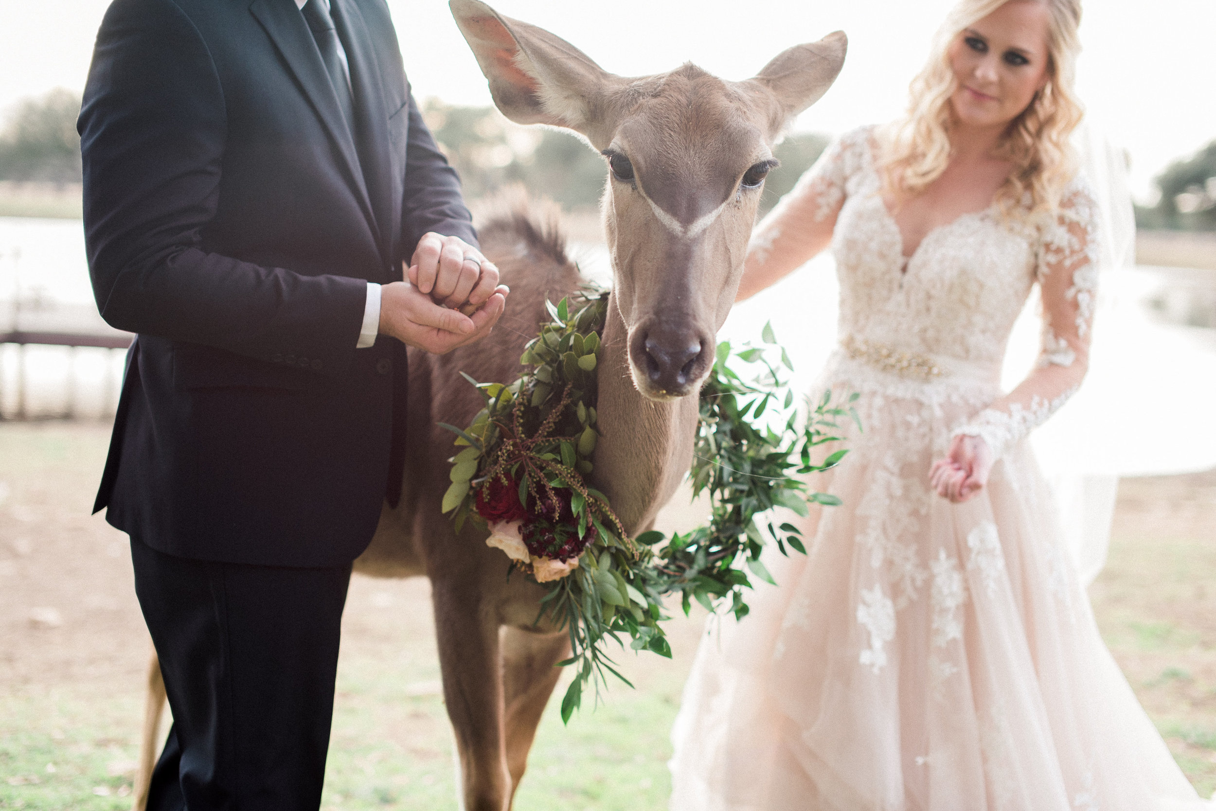 Rustic, Romantic Branded T Ranch Styled Wedding - Burgundy Wine Blush Wedding -- Brittany Jean Photography -- Wedding Blog - The Overwhelmed Bride