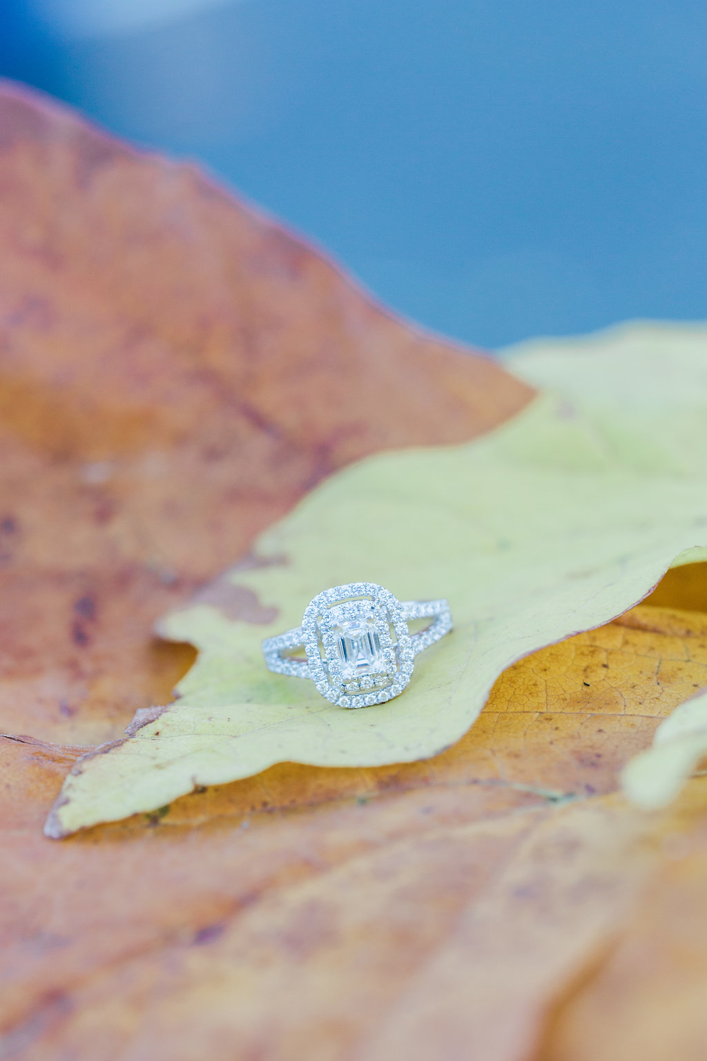 Lake Union Engagement Photos - Seattle Engagement Photo Locations - Eva Rieb Photography -- Wedding Blog - The Overwhelmed Bride