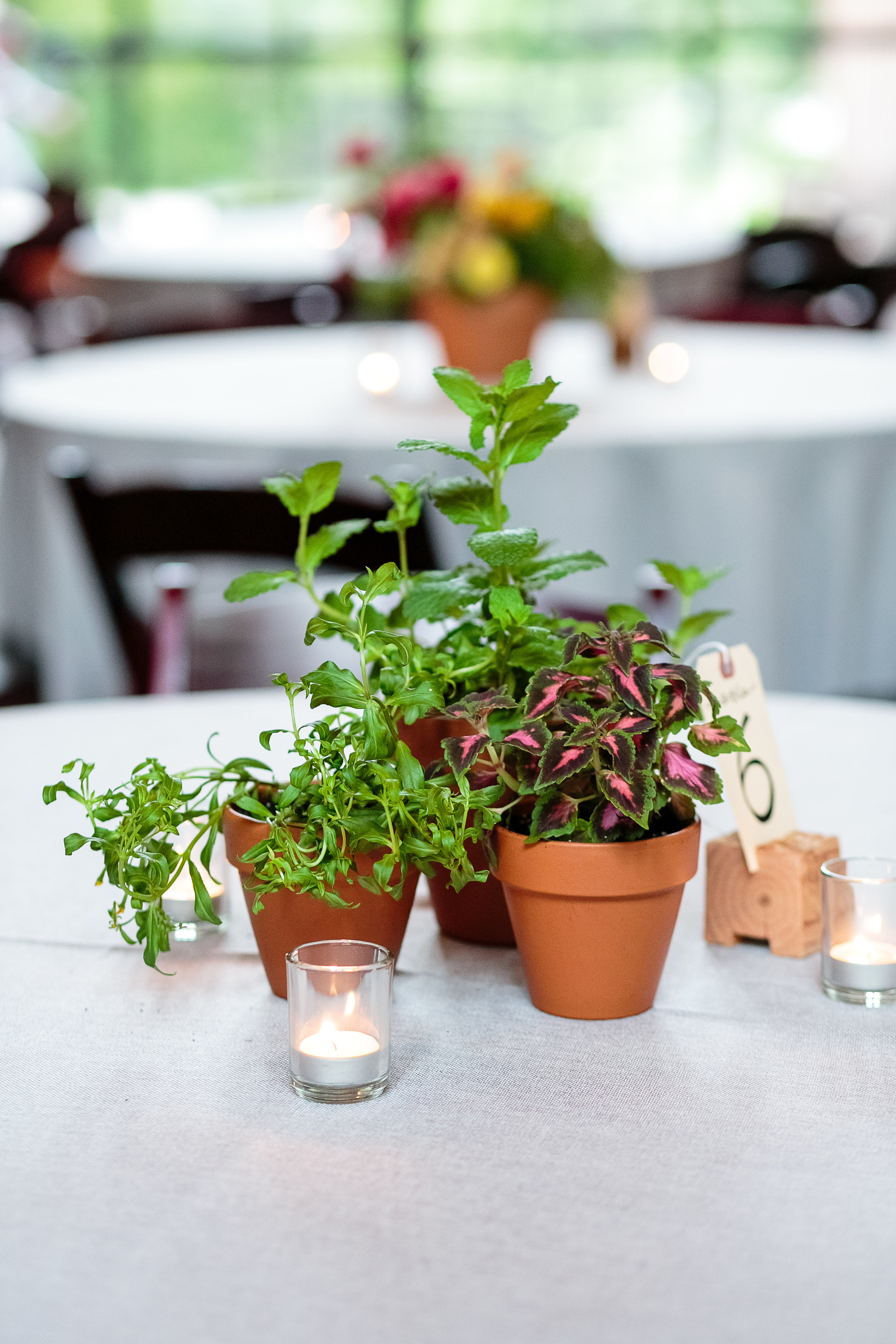 A Green Door Gourmet Tennessee Wedding - Erin Lee Allender Photography -- Wedding Blog - The Overwhelmed Bride