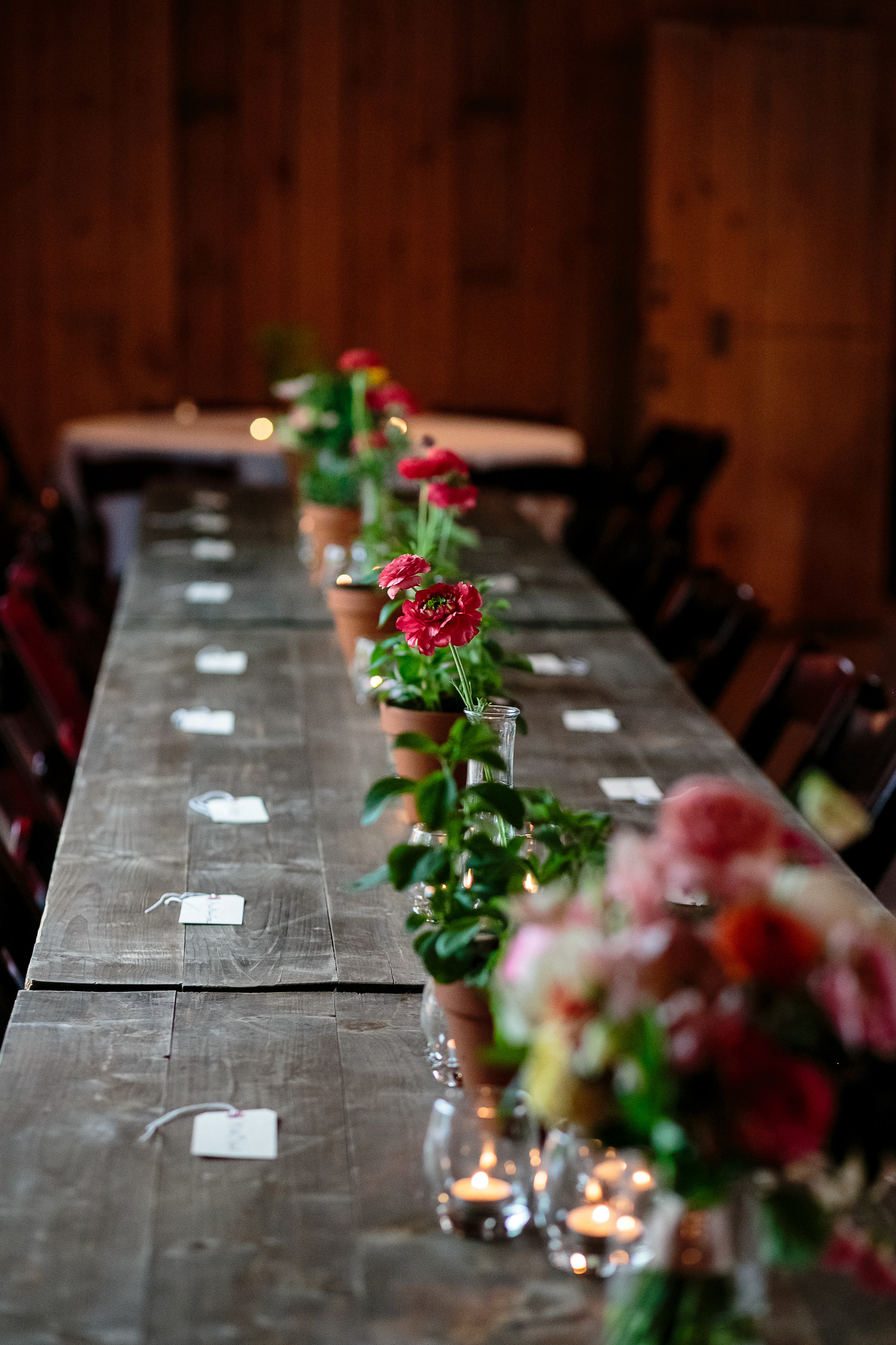 A Green Door Gourmet Tennessee Wedding - Erin Lee Allender Photography -- Wedding Blog - The Overwhelmed Bride