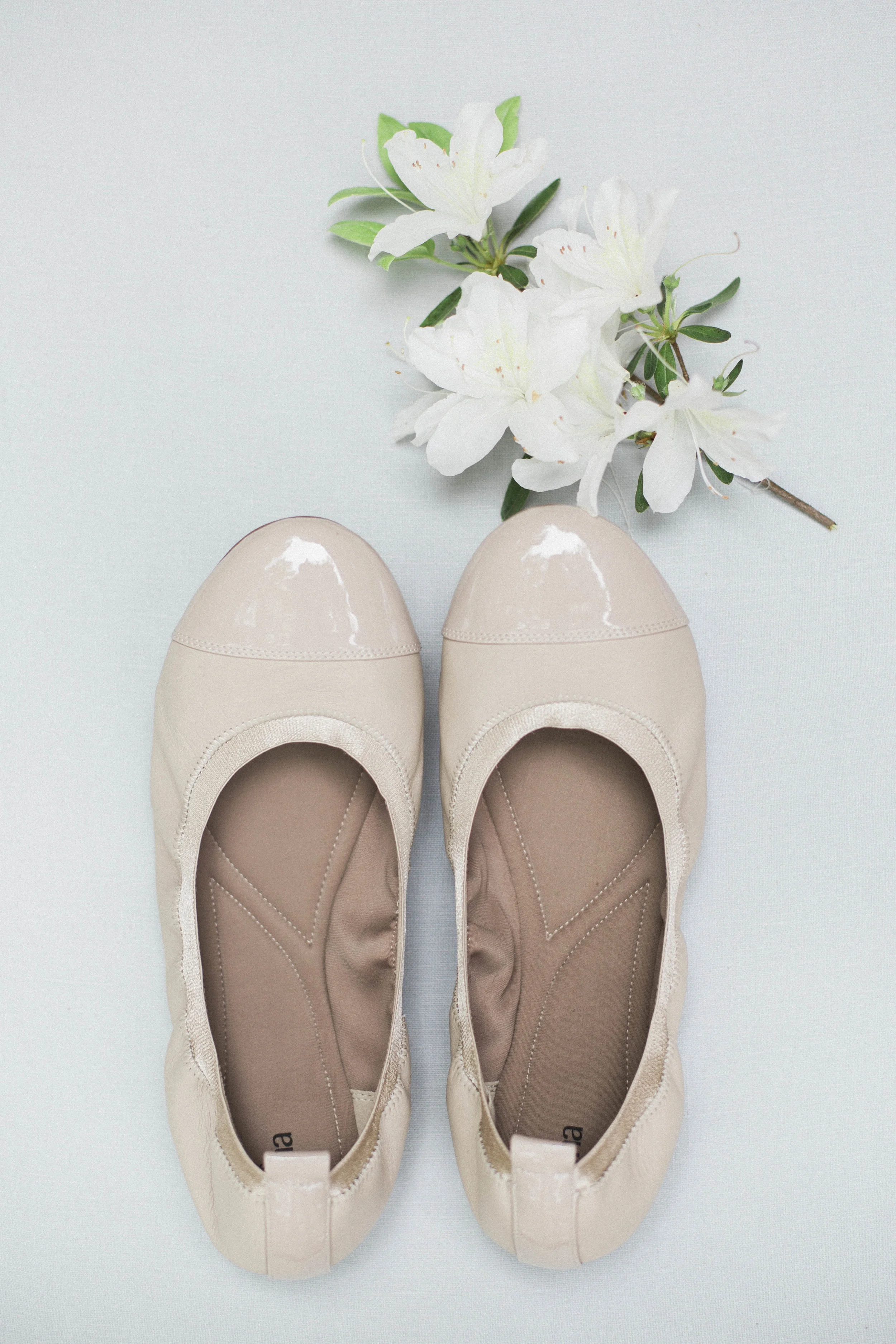 A Maryland Zoo Wedding - Emily Blumberg Photography -- Wedding Blog - The Overwhelmed Bride