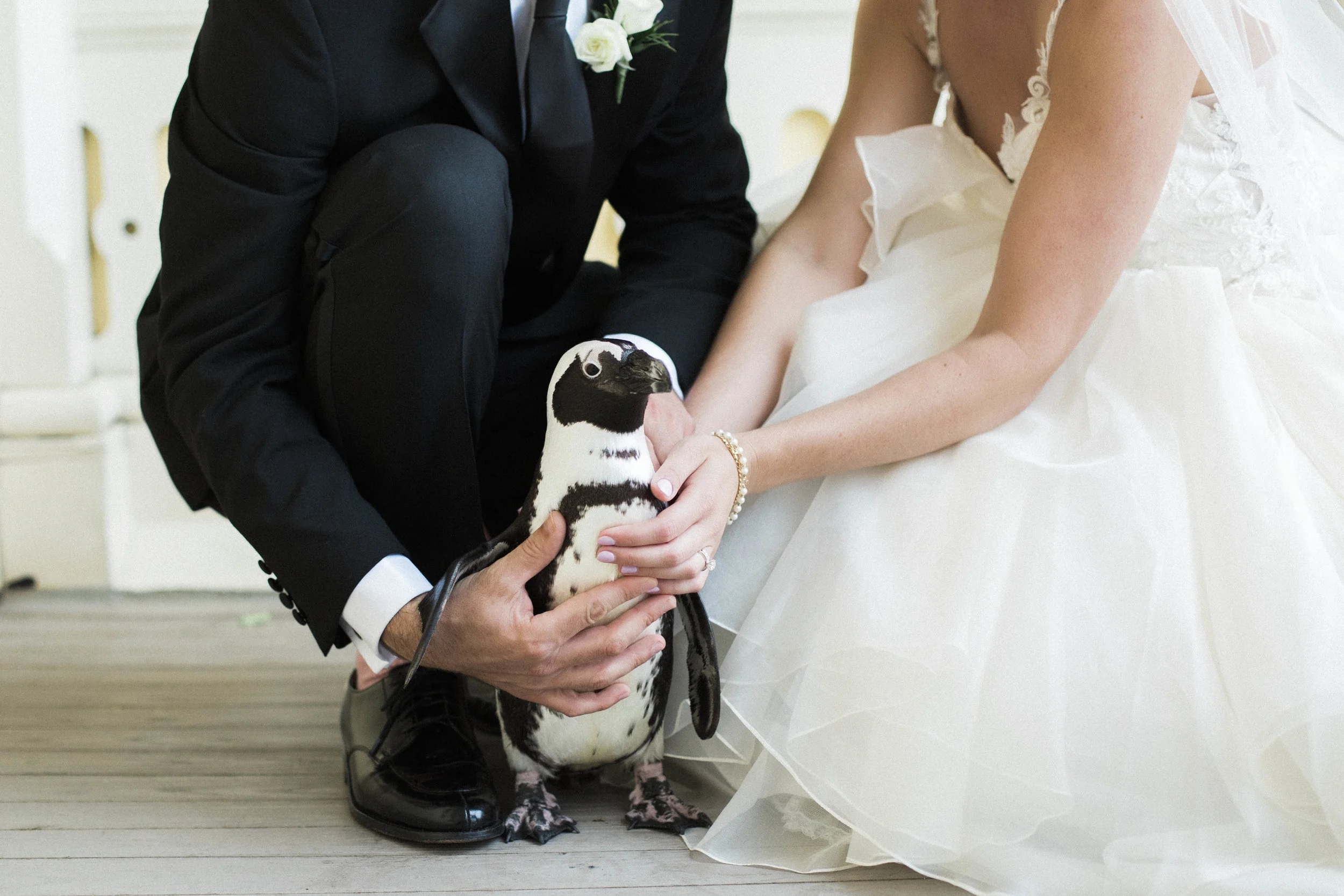 A Maryland Zoo Wedding - Emily Blumberg Photography -- Wedding Blog - The Overwhelmed Bride
