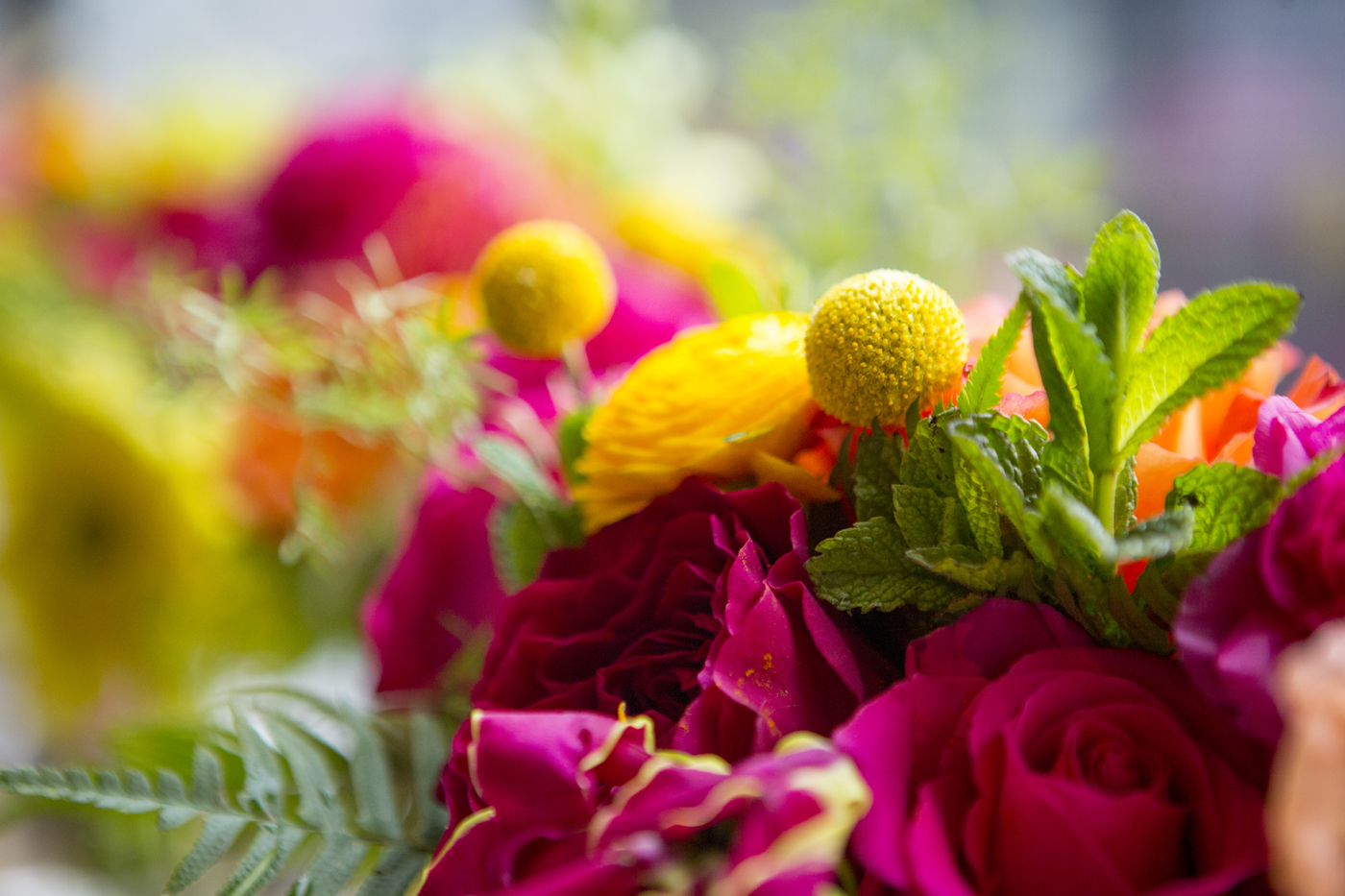 Vibrant Denver, Colorado City Hall Wedding -- Wedding Inspiration - The Overwhelmed Bride