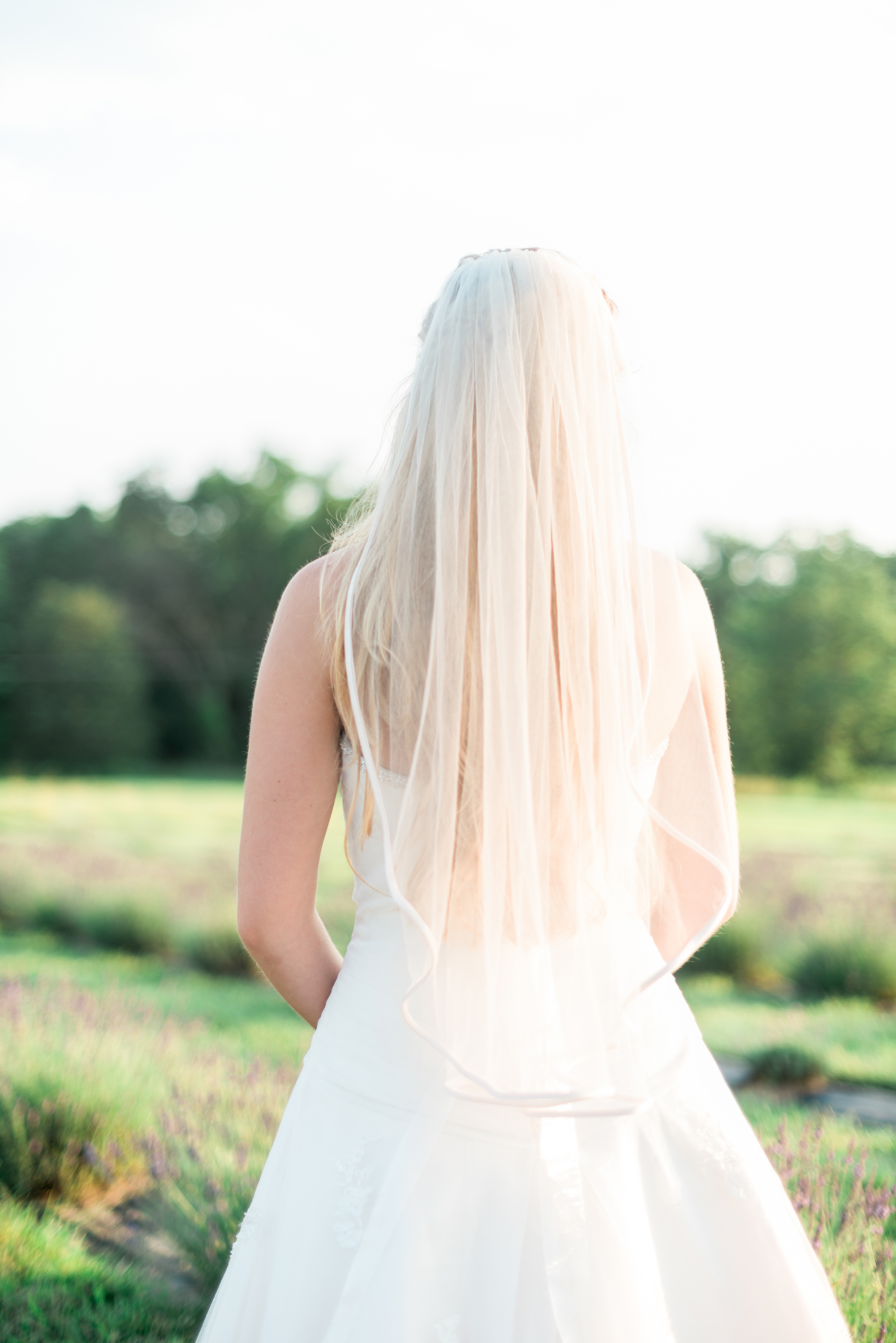 A Vintage French Lavender Field Wedding -- Wedding Inspiration - The Overwhelmed Bride