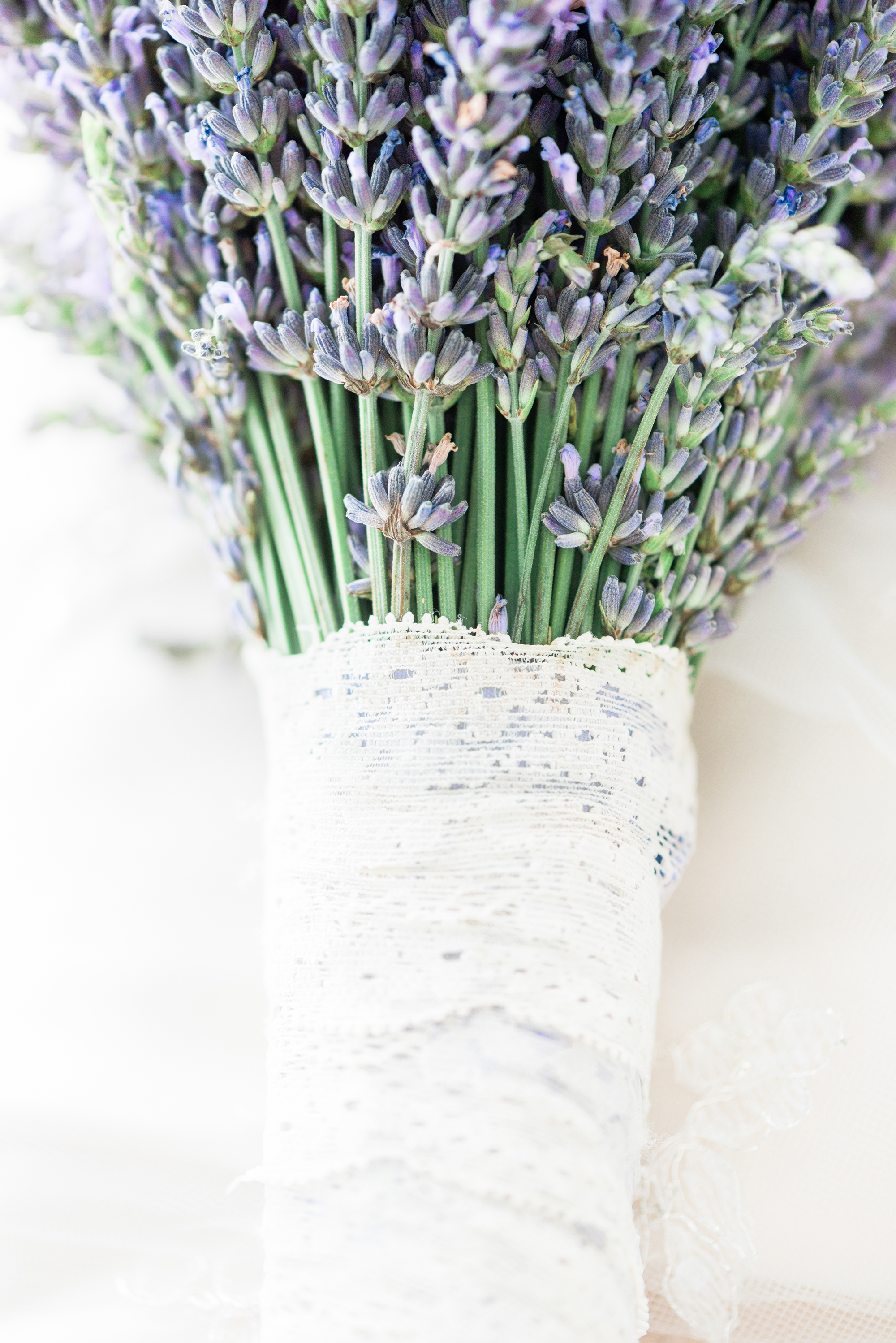 A Vintage French Lavender Field Wedding -- Wedding Inspiration - The Overwhelmed Bride