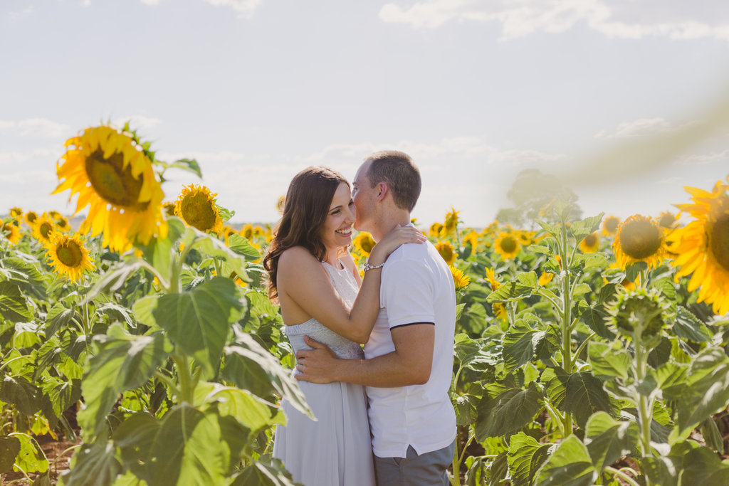 Sunflower Field Engagement Photos -- The Overwhelmed Bride Wedding Blog