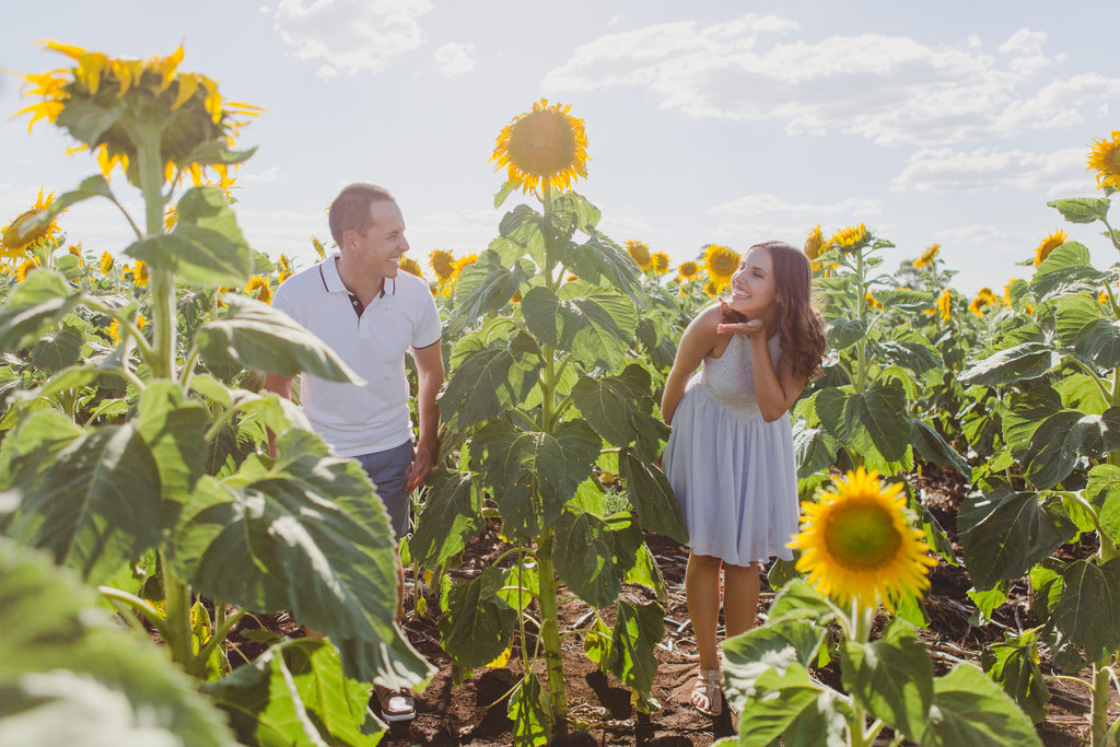 Sunflower Field Engagement Photos -- The Overwhelmed Bride Wedding Blog