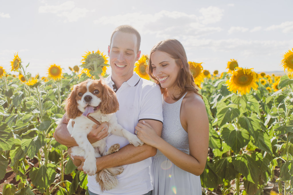 Sunflower Field Engagement Photos -- The Overwhelmed Bride Wedding Blog