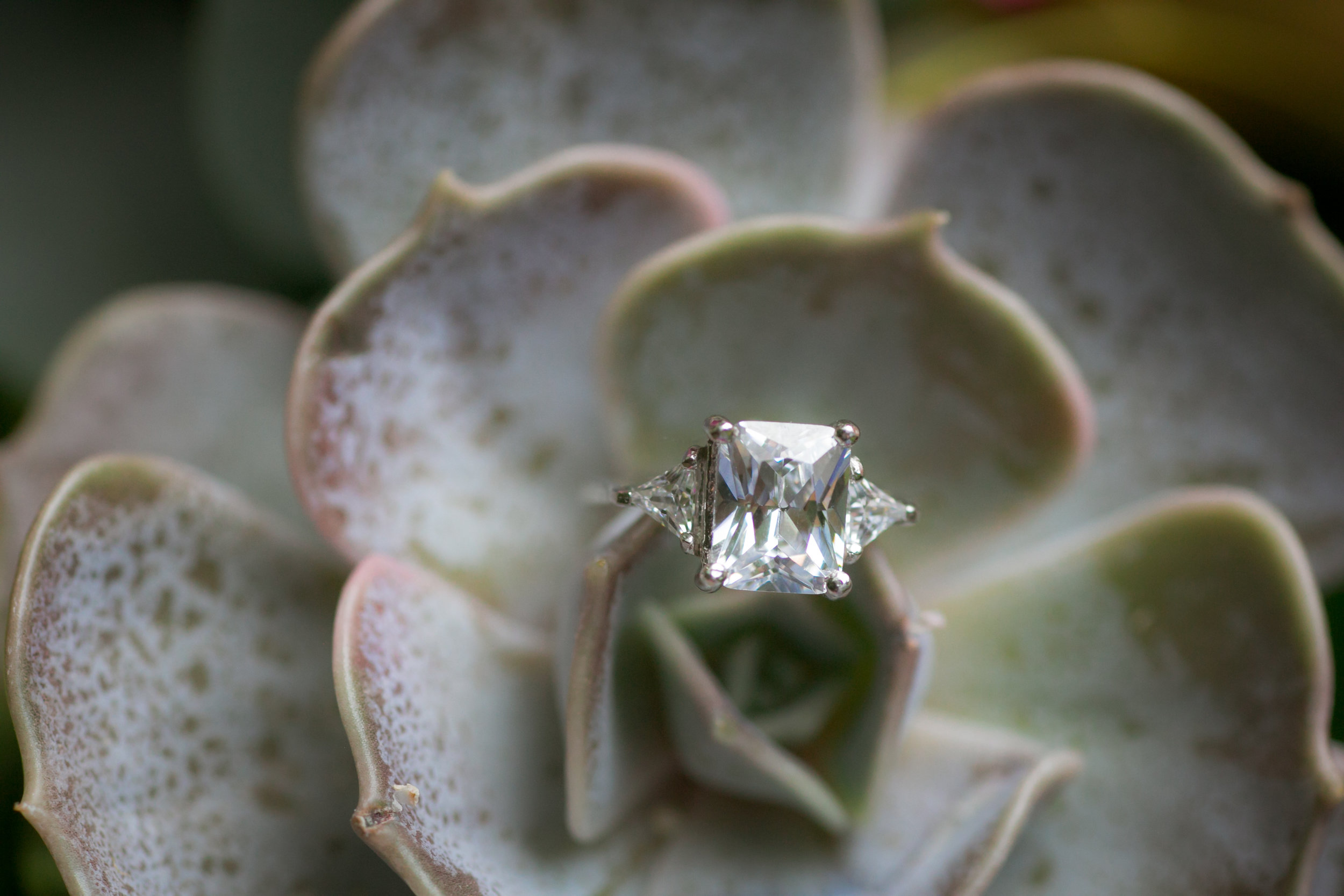 3 Stone Engagement Ring - Colchester, Connecticut Wedding Photographer