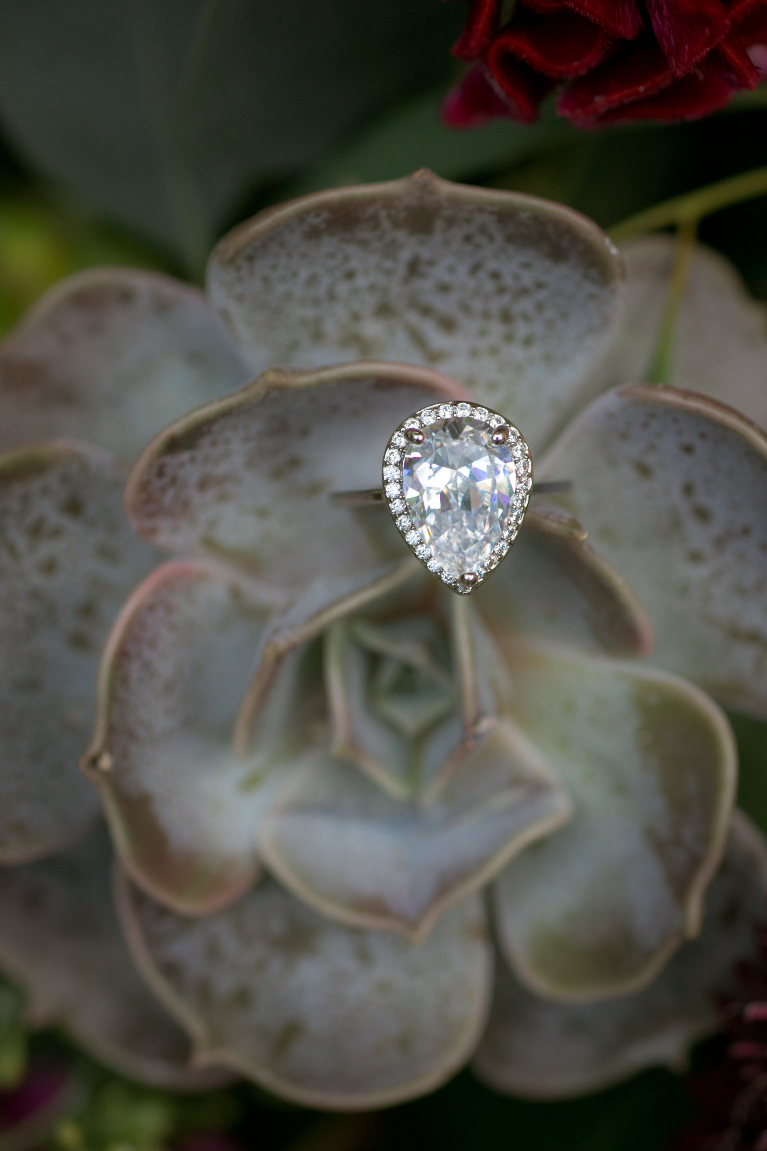 Pear Halo Engagement Ring - Colchester, Connecticut Wedding Photographer