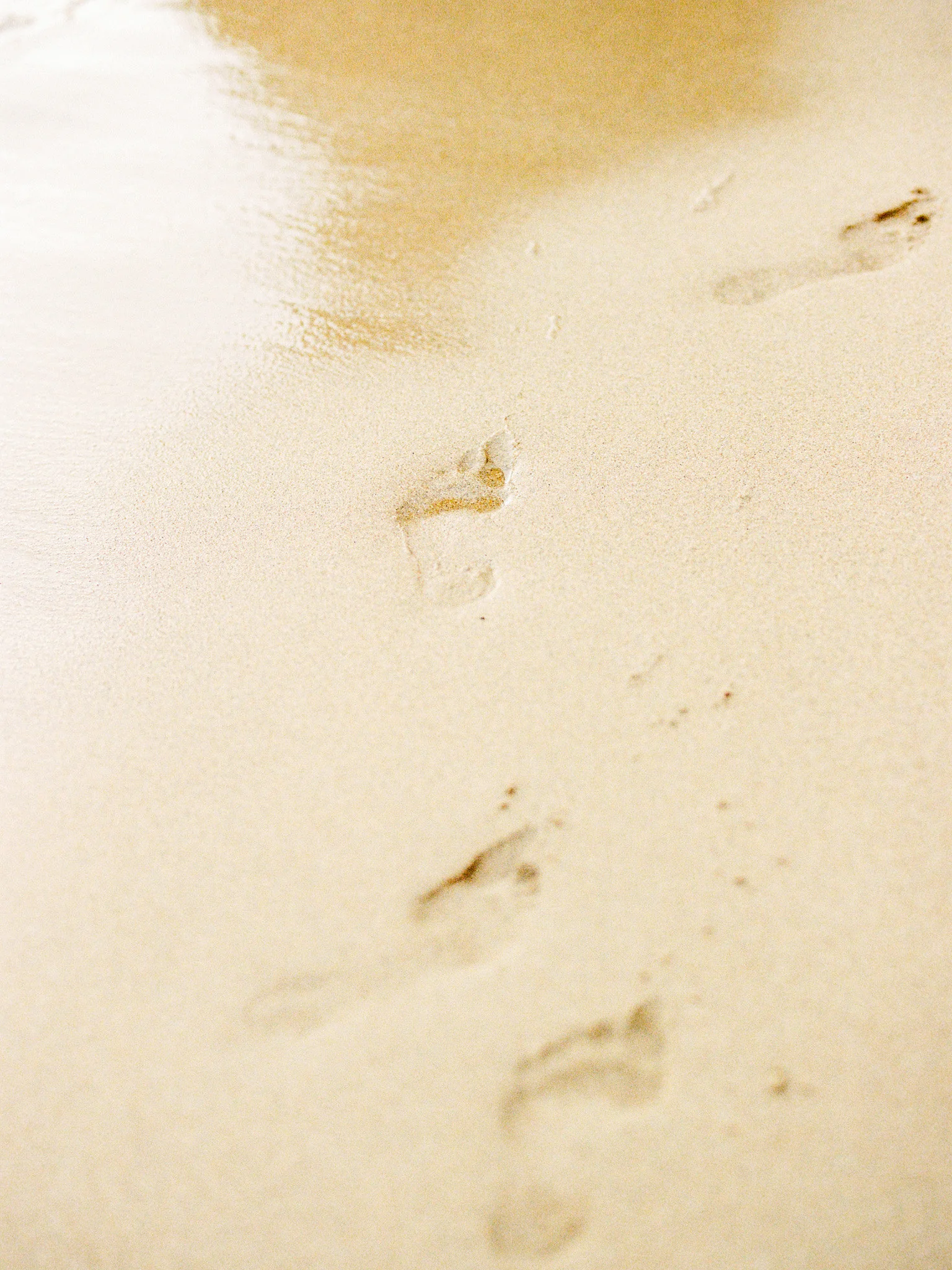 Algarve, Portugal Beach Engagement Photos