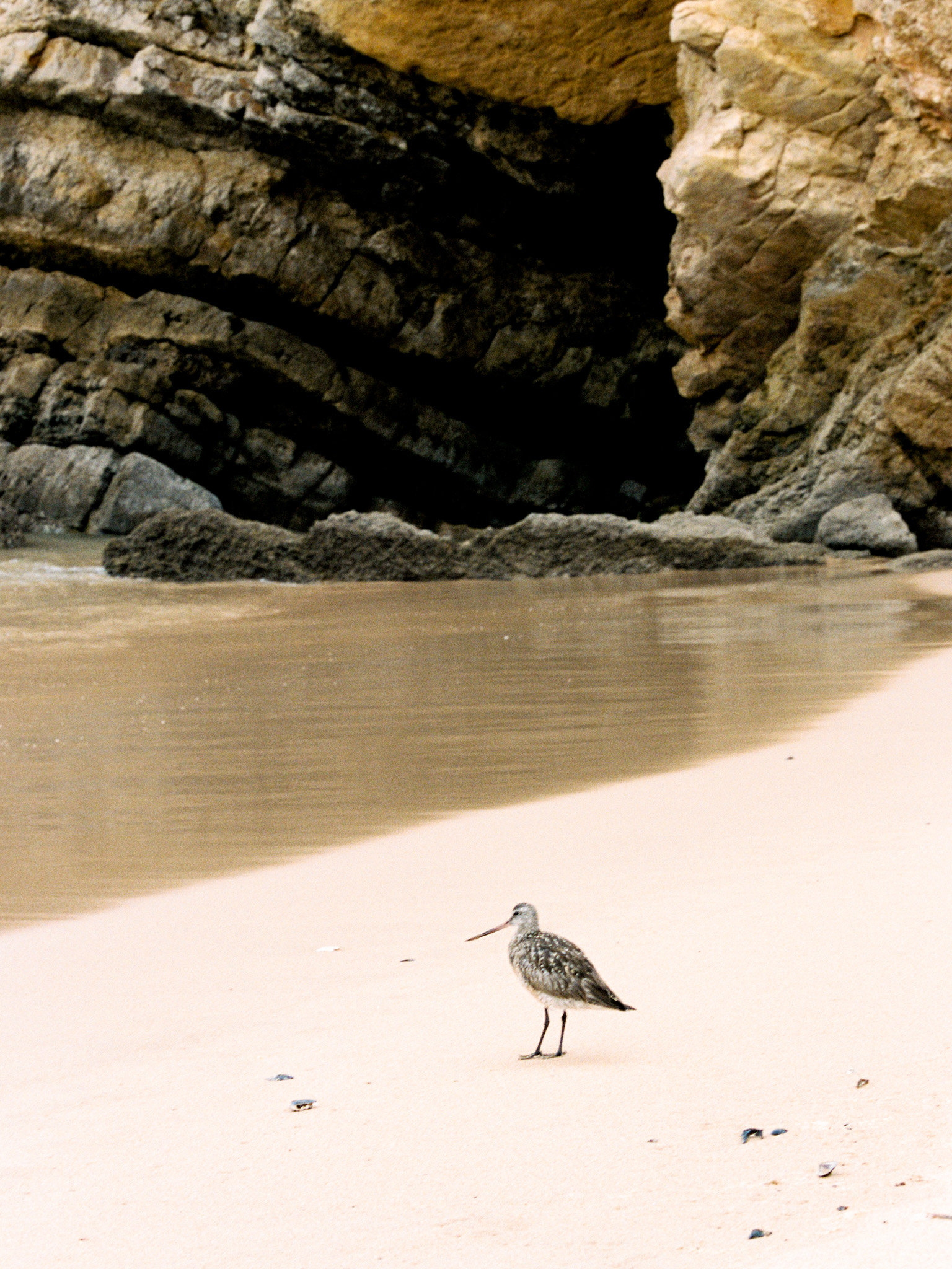 Algarve, Portugal Beach Engagement Photos